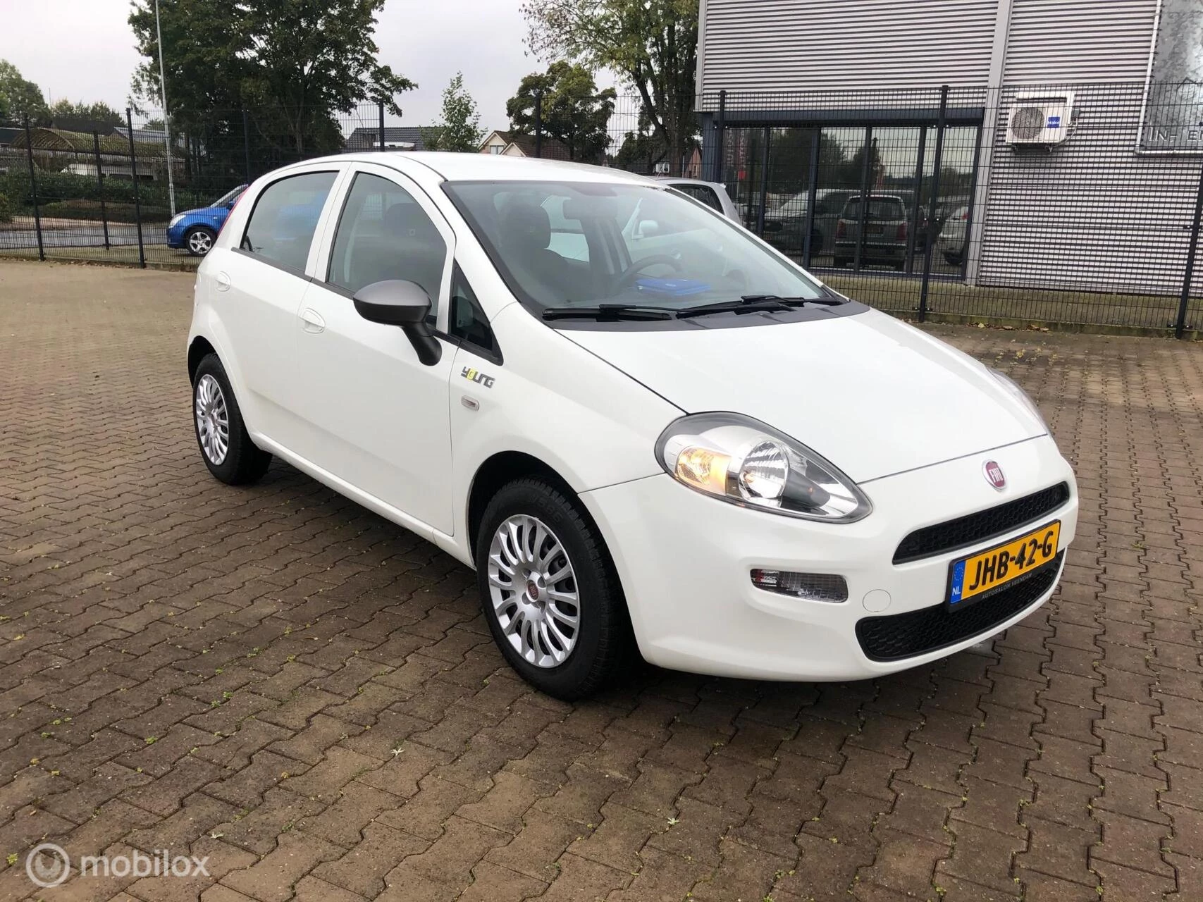 Hoofdafbeelding Fiat Punto