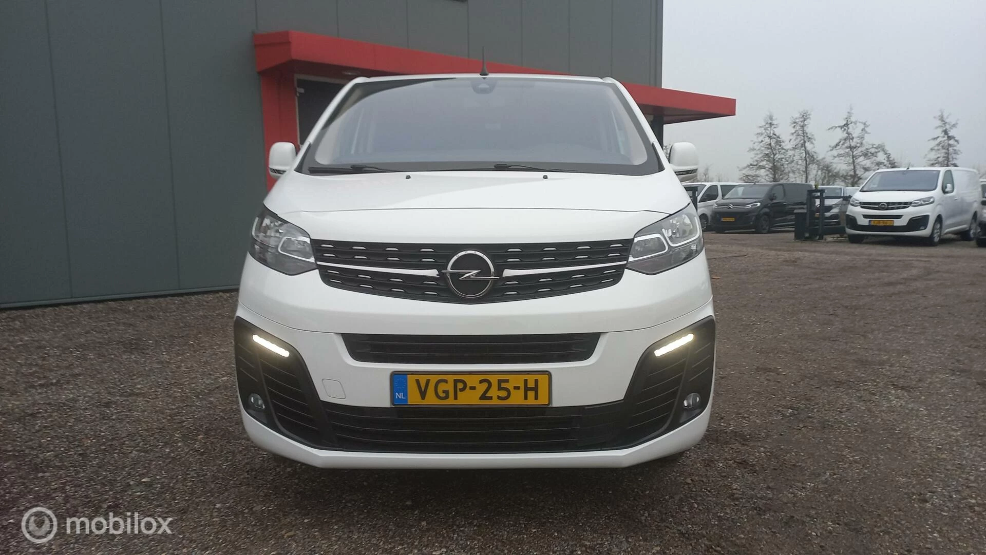 Hoofdafbeelding Opel Vivaro