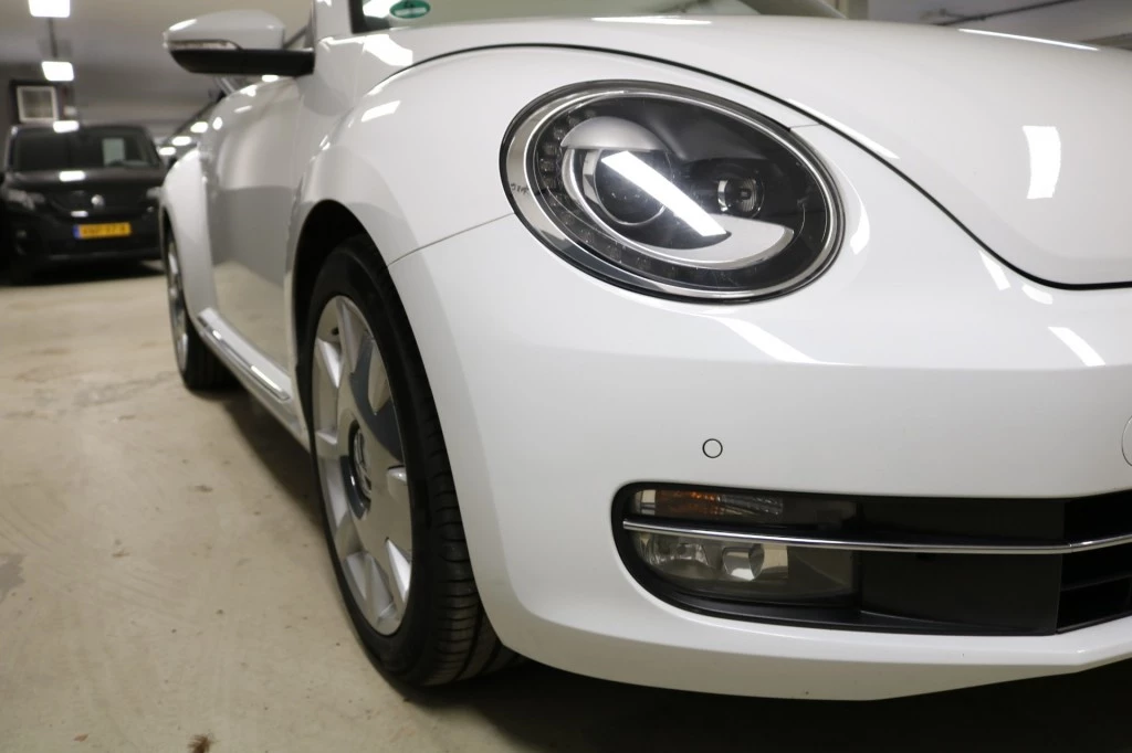 Hoofdafbeelding Volkswagen Beetle
