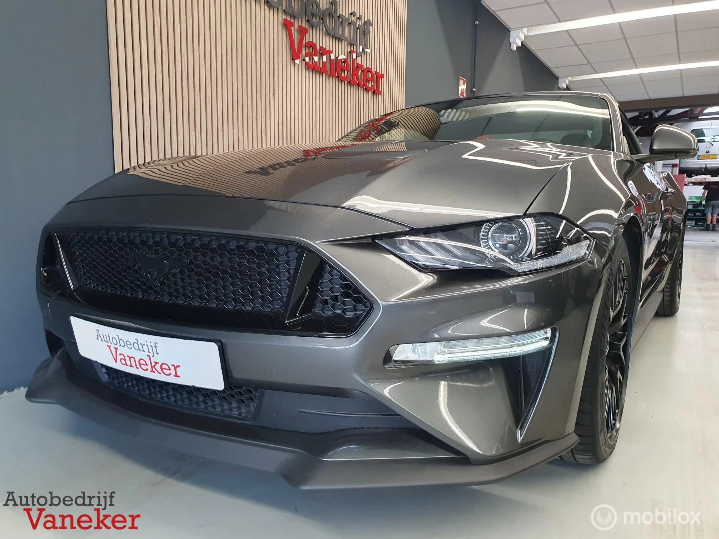 Hoofdafbeelding Ford Mustang