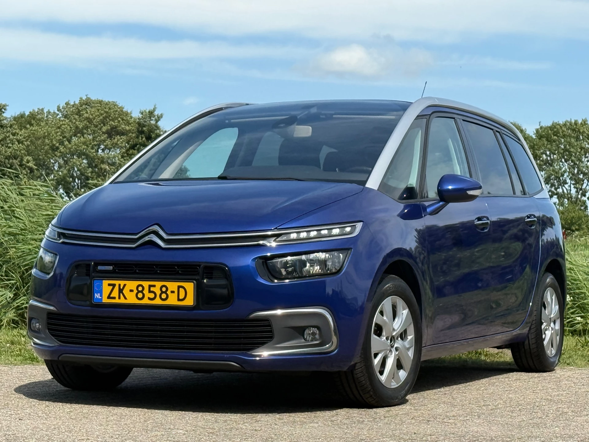 Hoofdafbeelding Citroën Grand C4 Picasso
