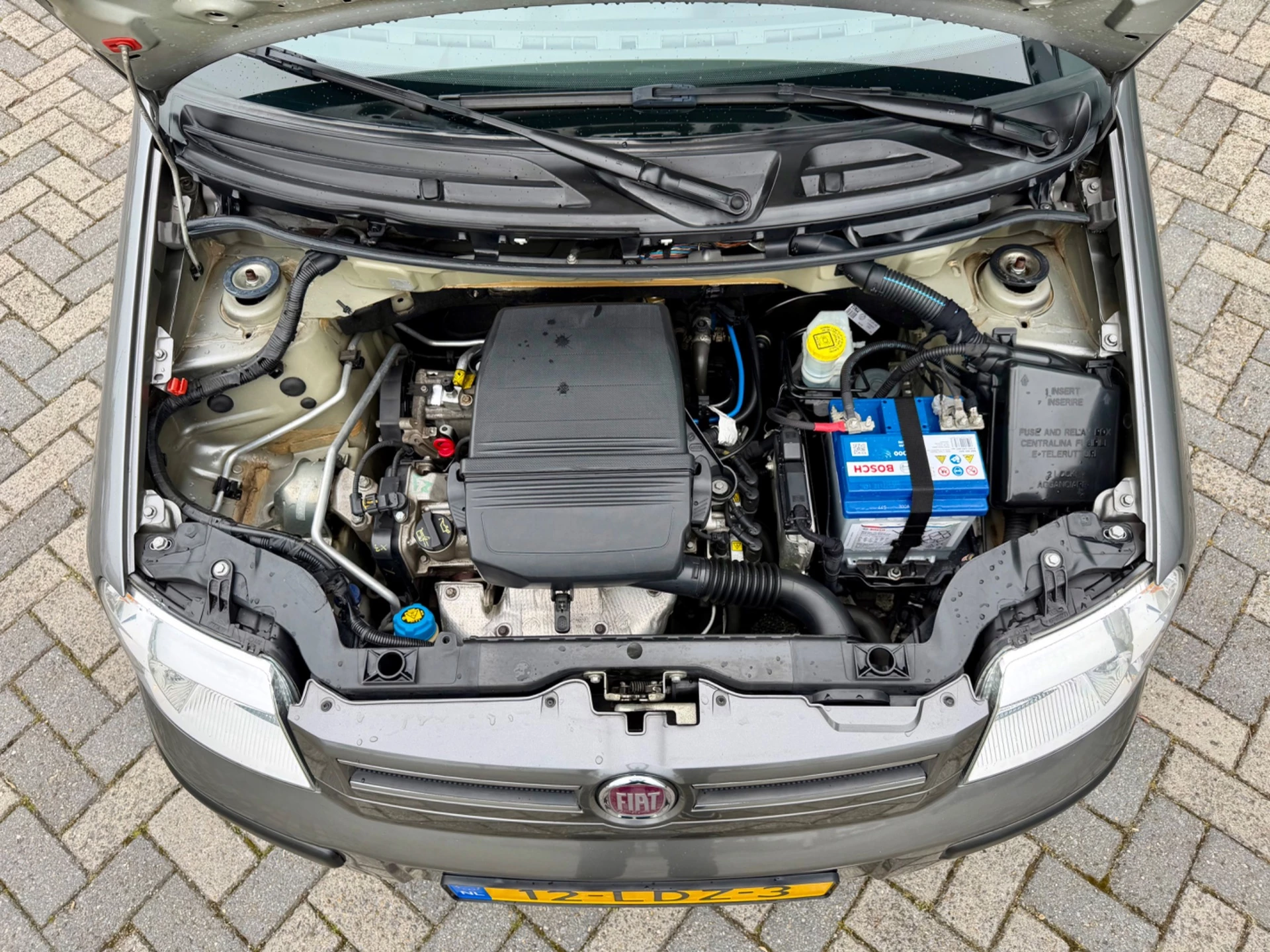 Hoofdafbeelding Fiat Panda