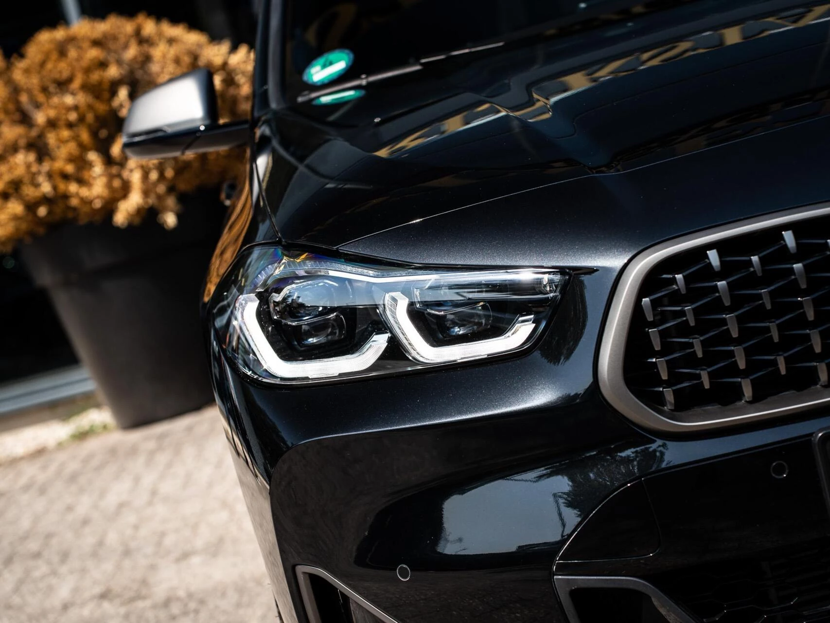 Hoofdafbeelding BMW X2