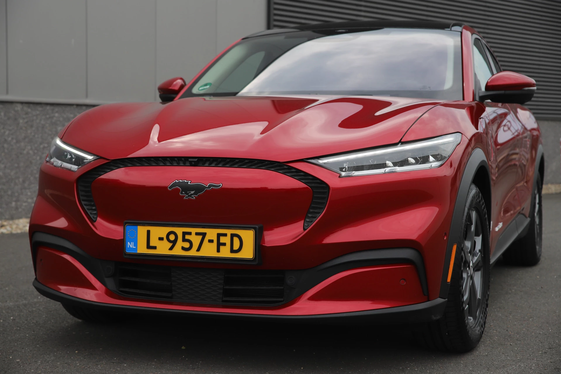 Hoofdafbeelding Ford Mustang Mach-E