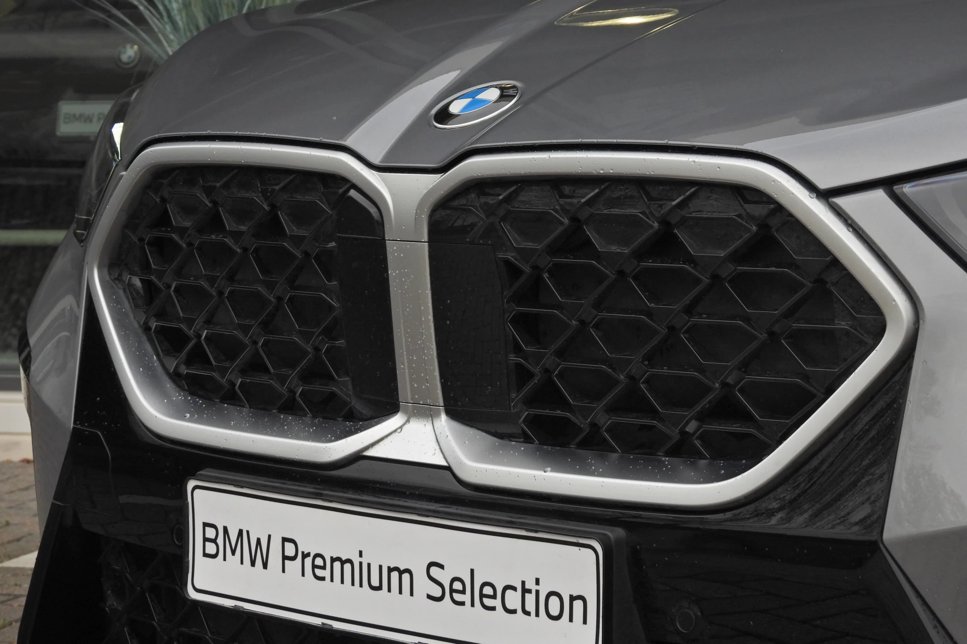 Hoofdafbeelding BMW X2