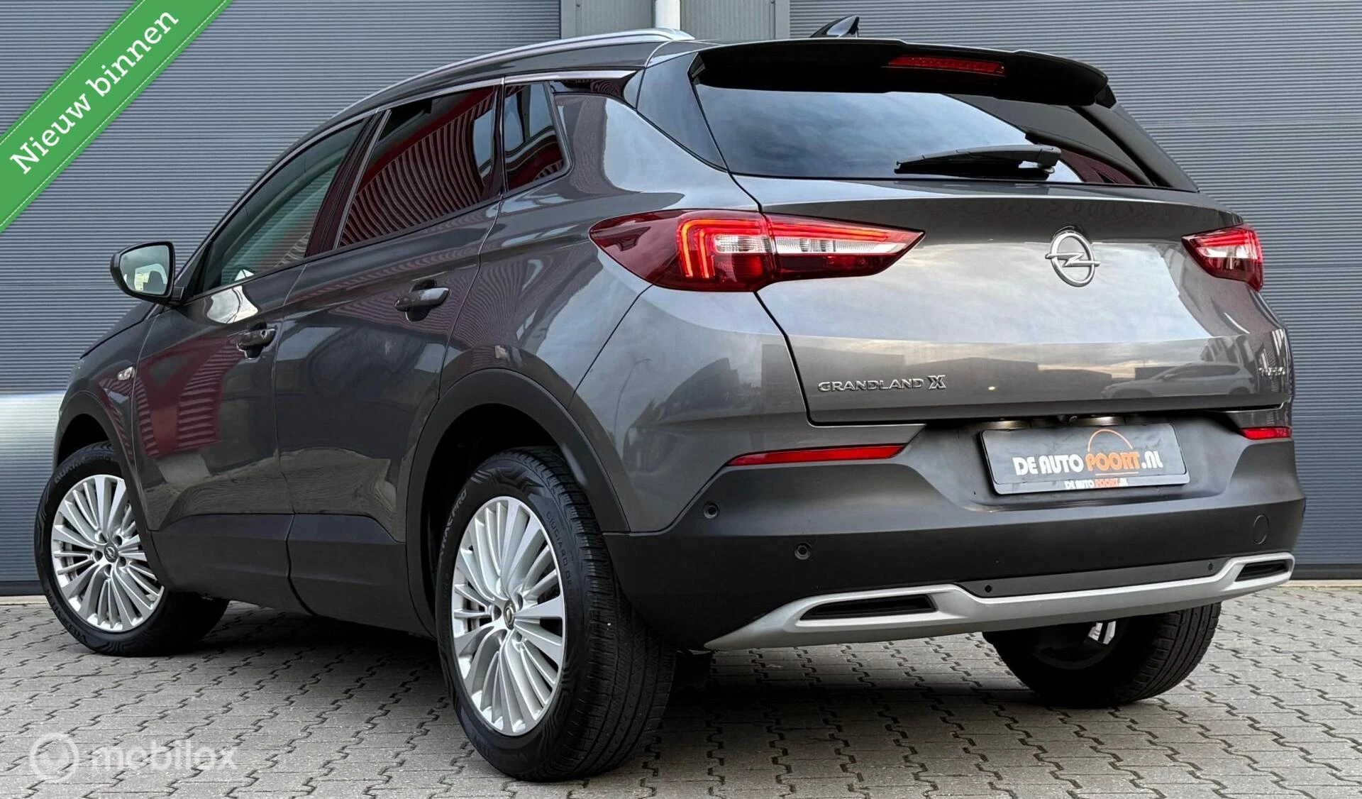 Hoofdafbeelding Opel Grandland X