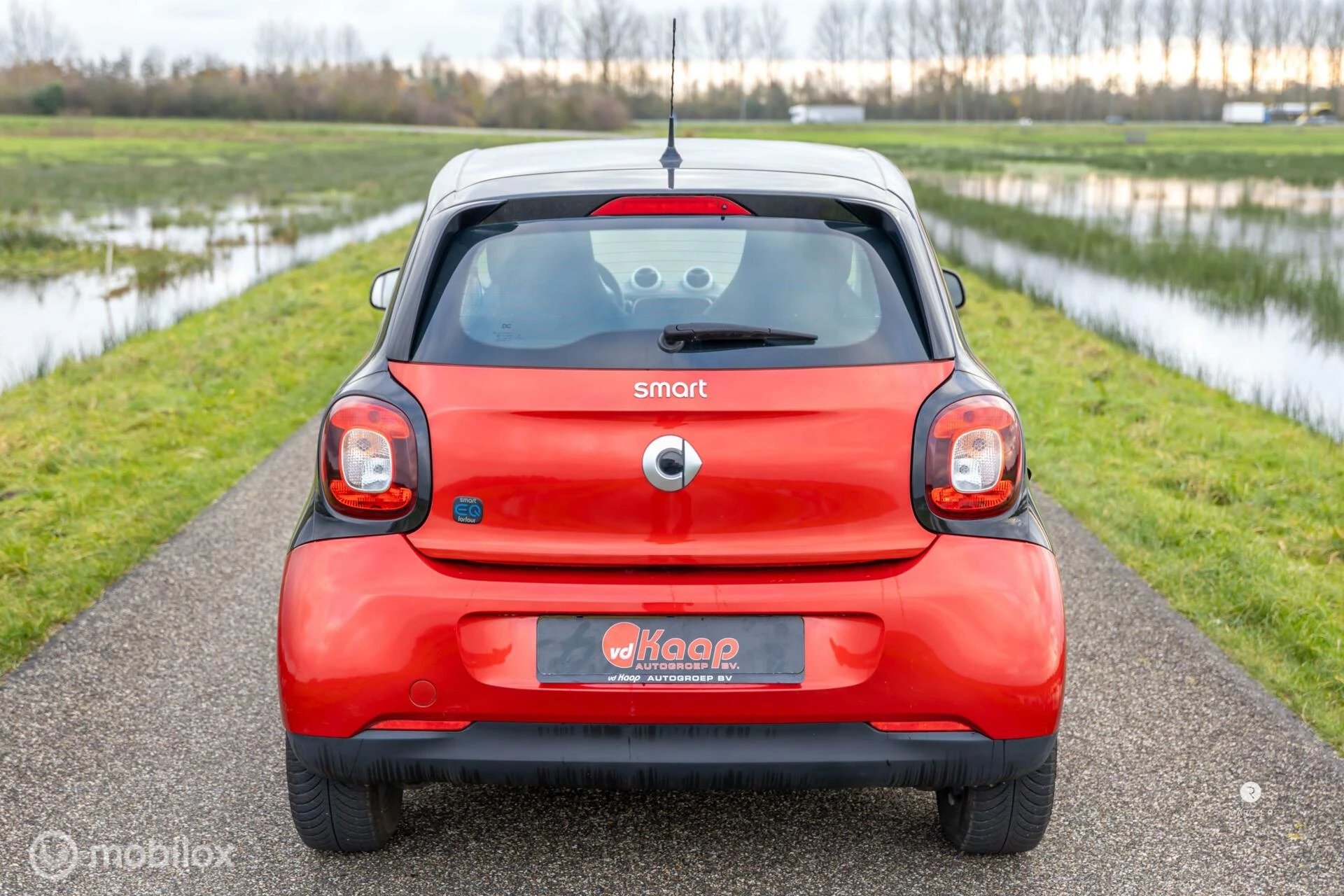 Hoofdafbeelding Smart Forfour