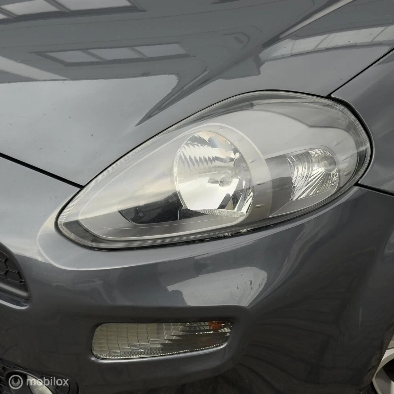 Hoofdafbeelding Fiat Punto