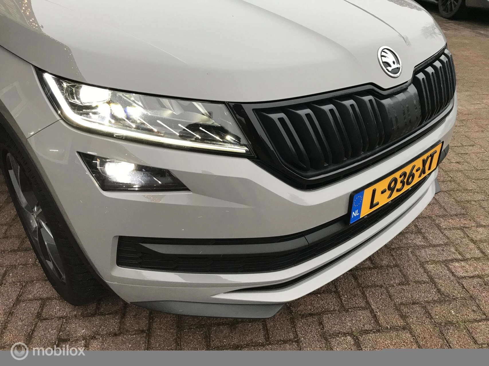 Hoofdafbeelding Škoda Kodiaq