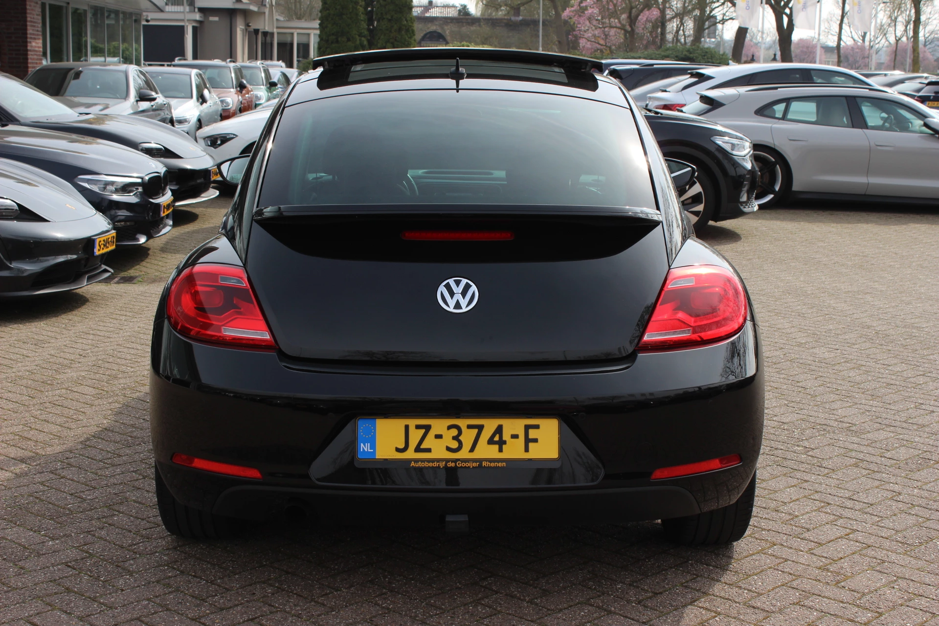 Hoofdafbeelding Volkswagen Beetle