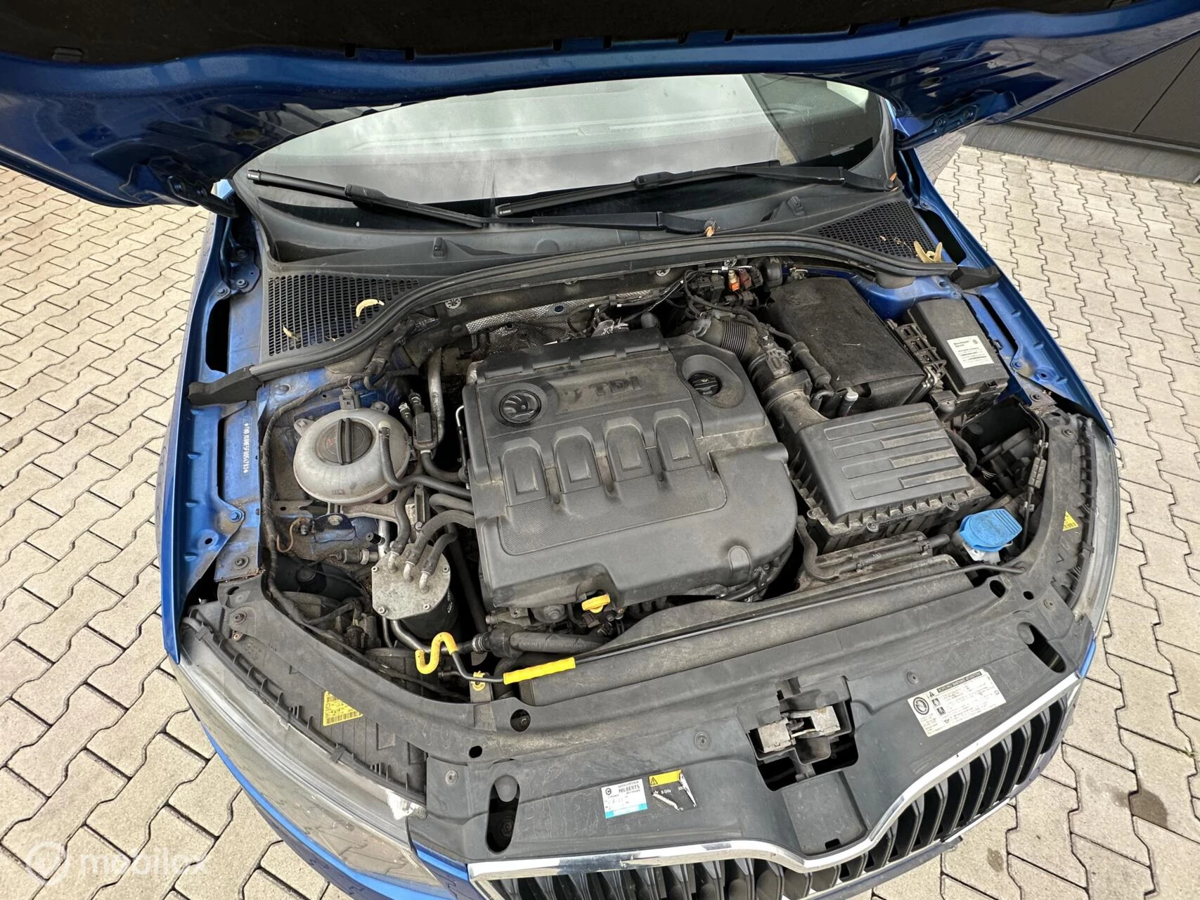 Hoofdafbeelding Škoda Octavia