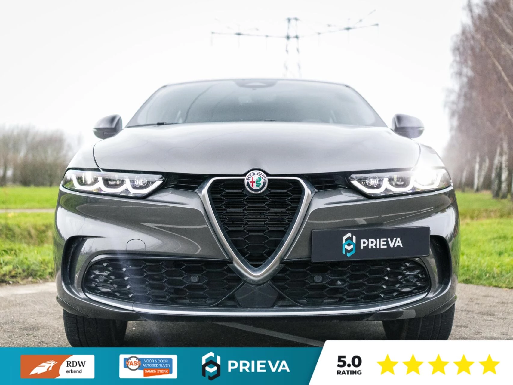 Hoofdafbeelding Alfa Romeo Tonale