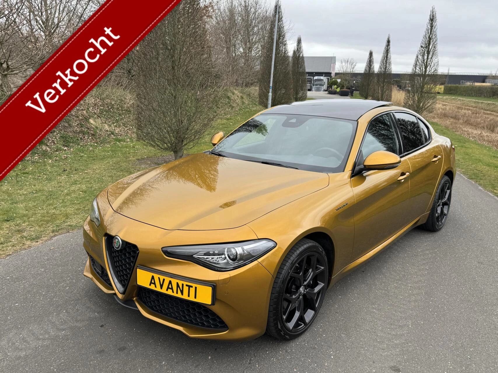 Hoofdafbeelding Alfa Romeo Giulia