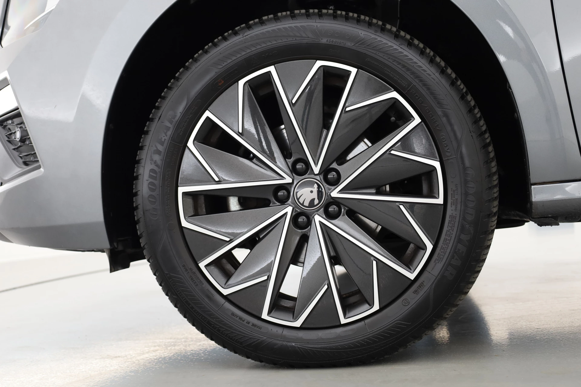 Hoofdafbeelding Škoda Kamiq