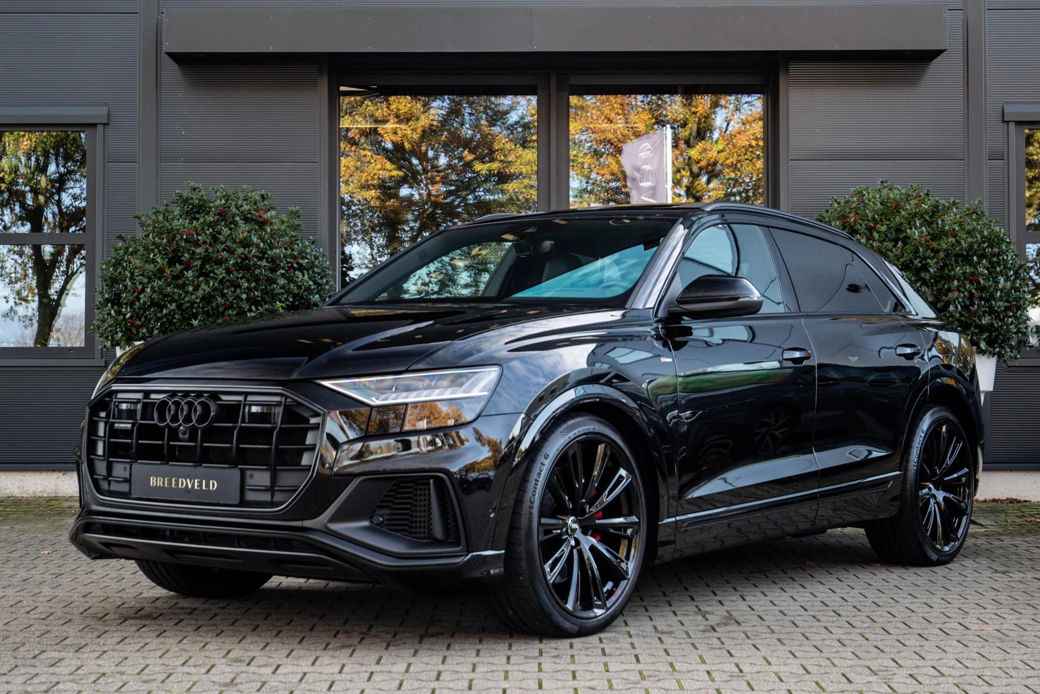 Hoofdafbeelding Audi Q8