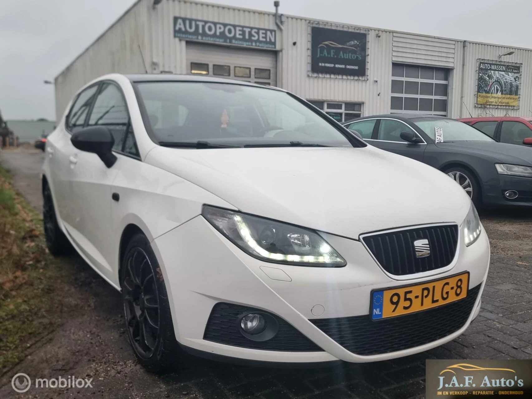 Hoofdafbeelding SEAT Ibiza