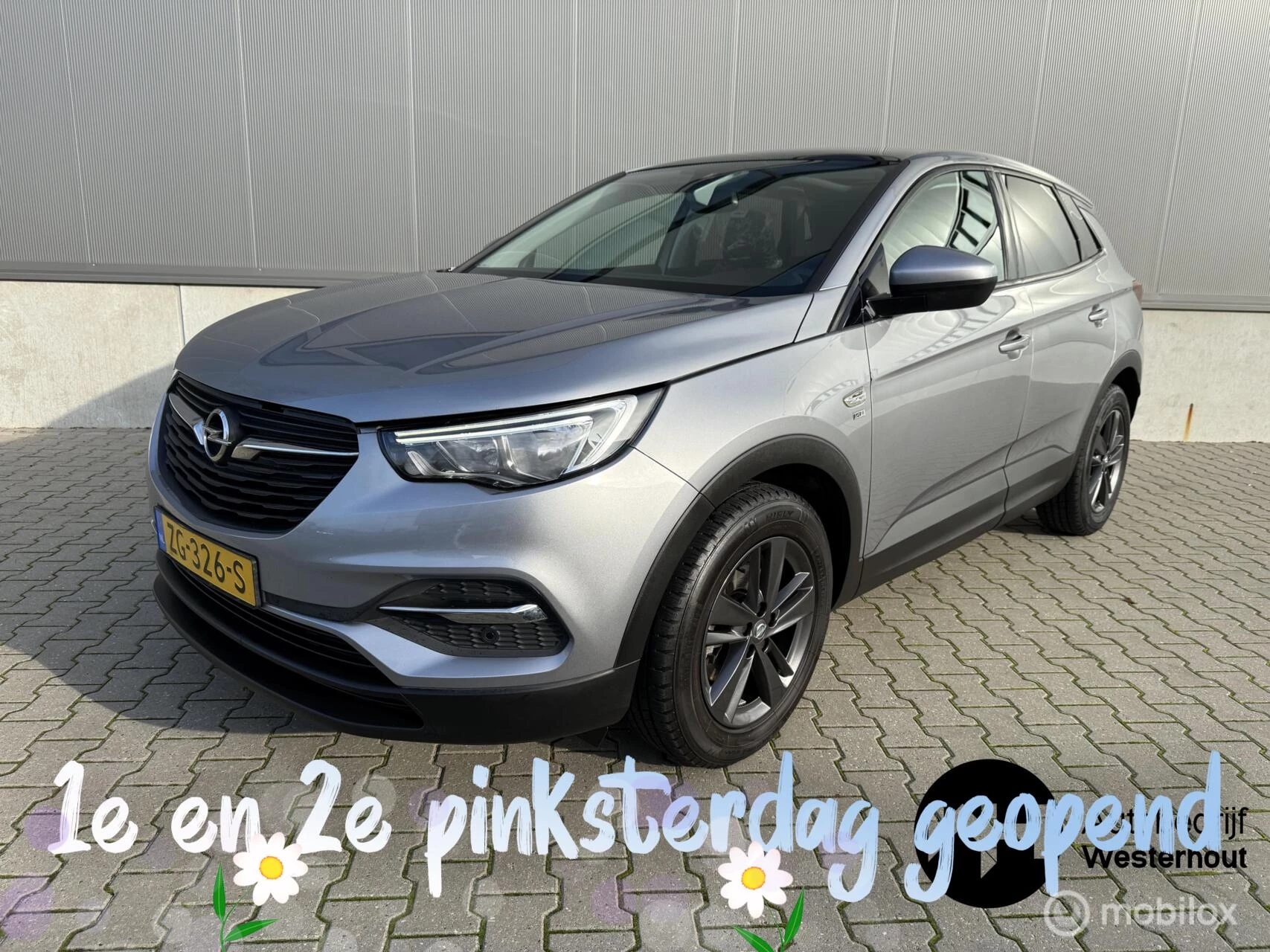 Hoofdafbeelding Opel Grandland X