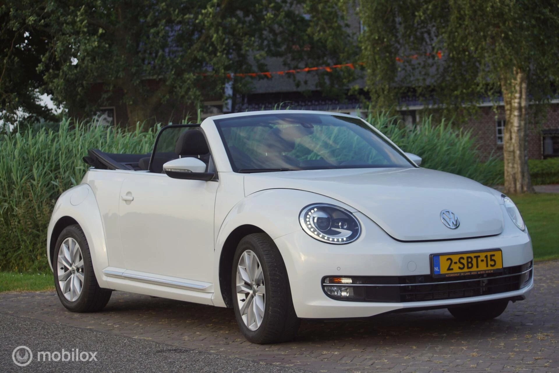 Hoofdafbeelding Volkswagen Beetle