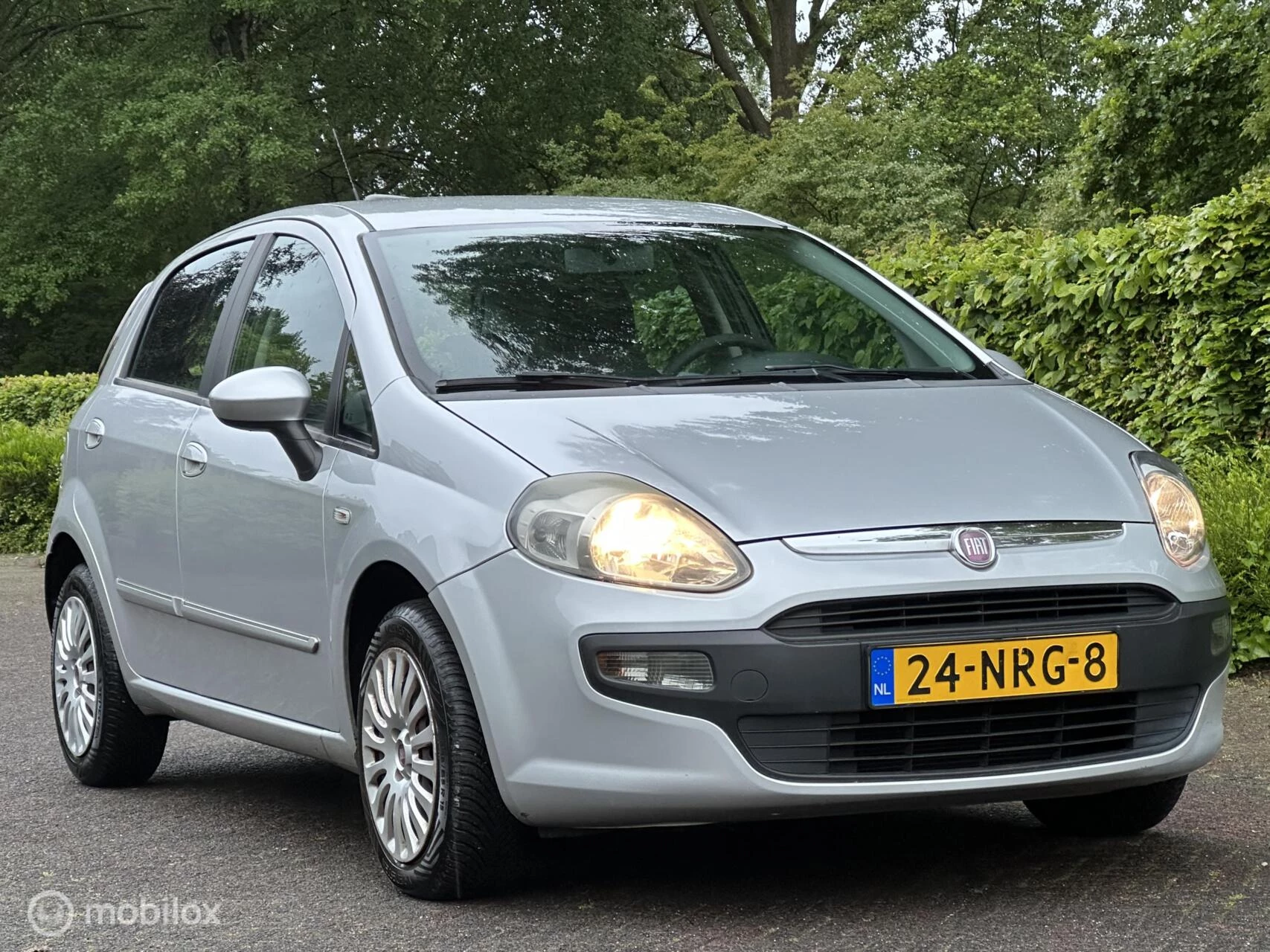 Hoofdafbeelding Fiat Punto