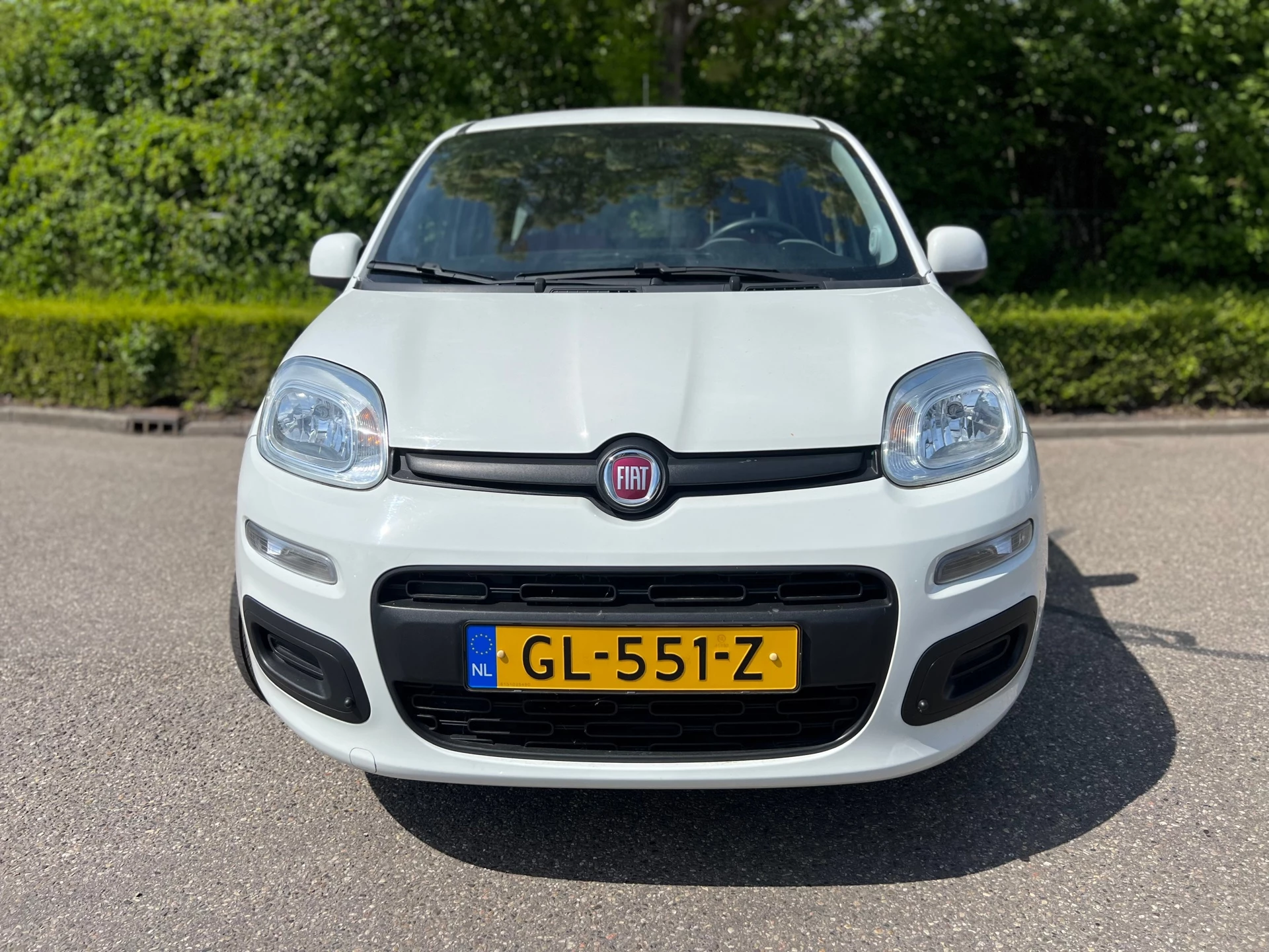 Hoofdafbeelding Fiat Panda