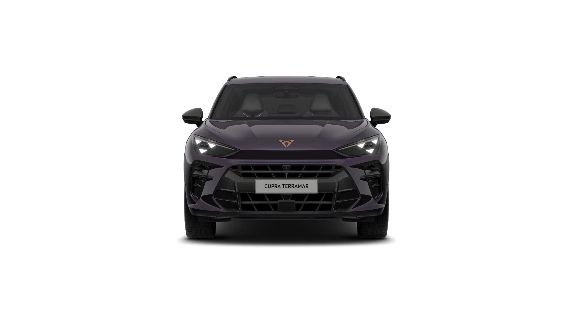 Hoofdafbeelding CUPRA Terramar