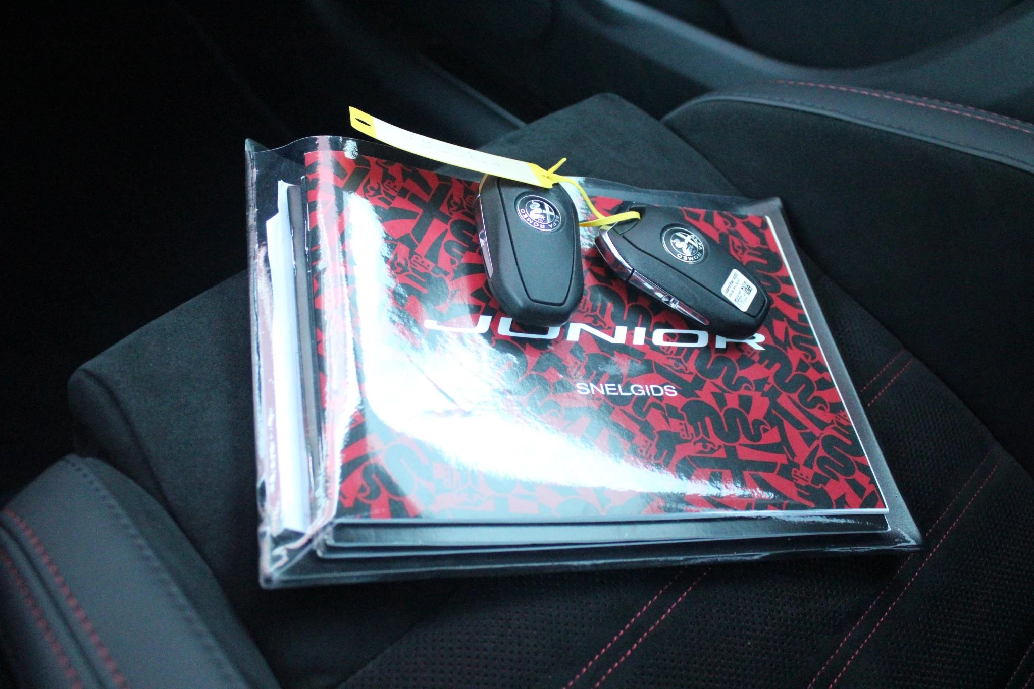 Hoofdafbeelding Alfa Romeo Junior