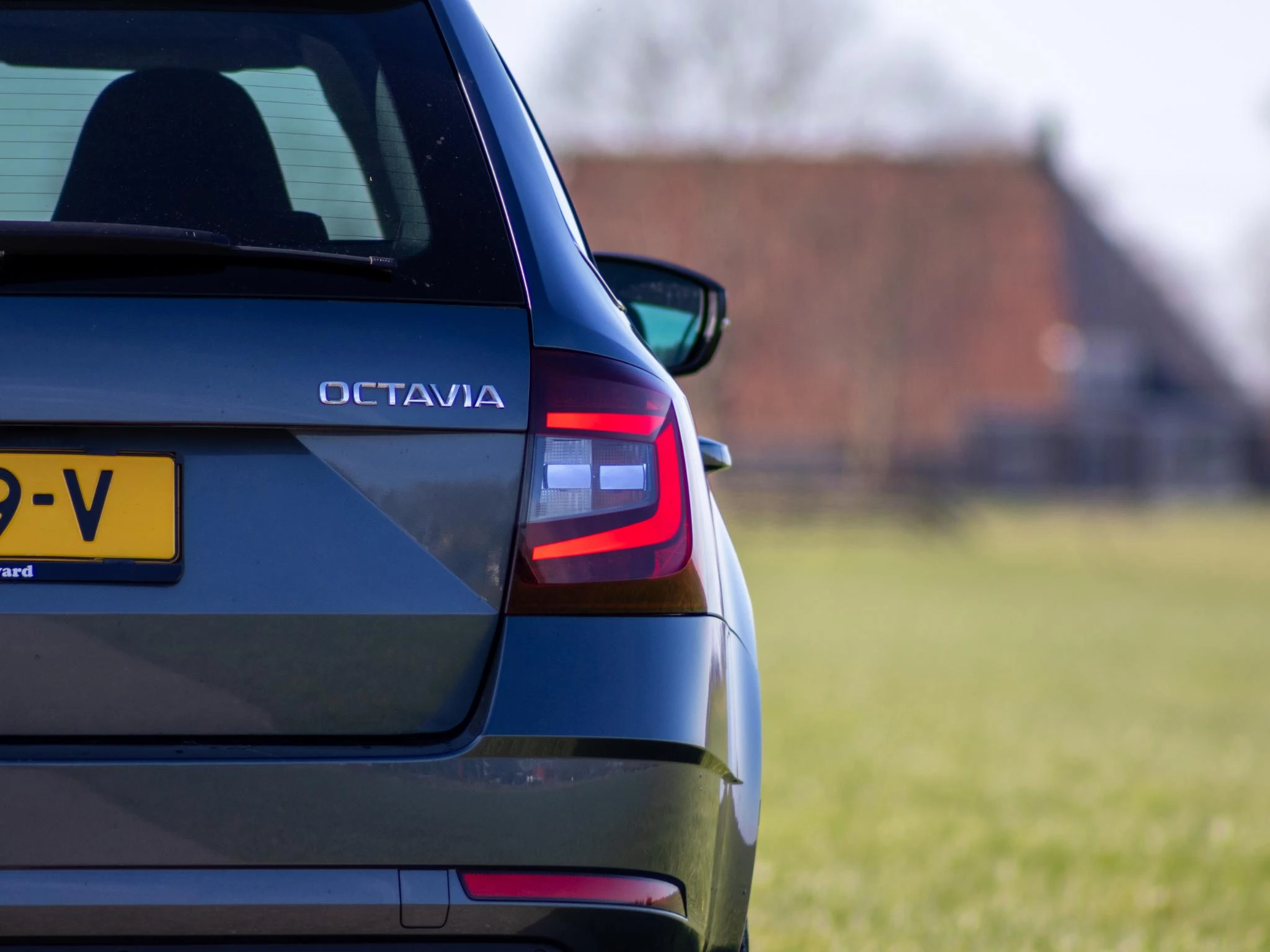 Hoofdafbeelding Škoda Octavia