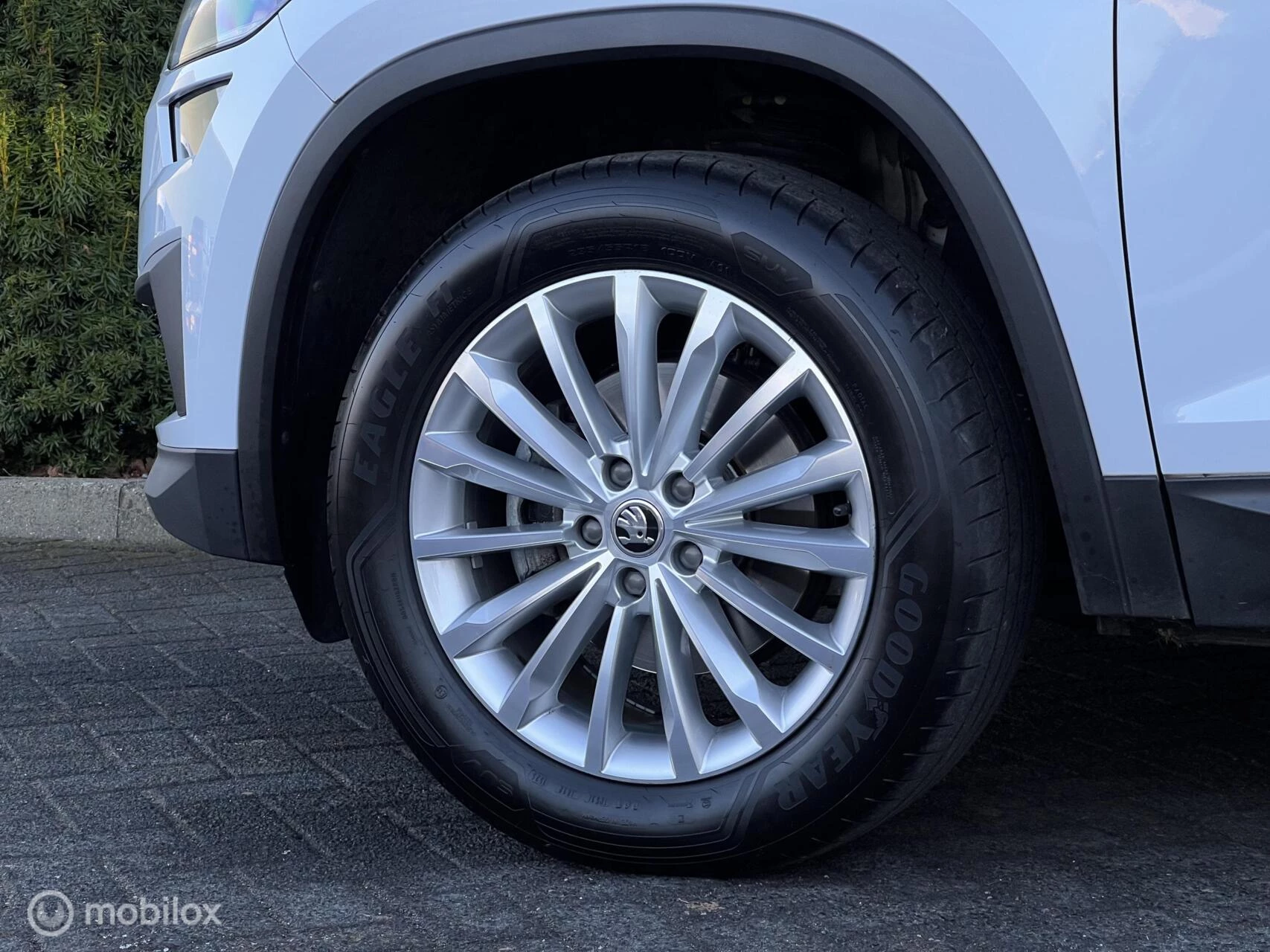 Hoofdafbeelding Škoda Kodiaq