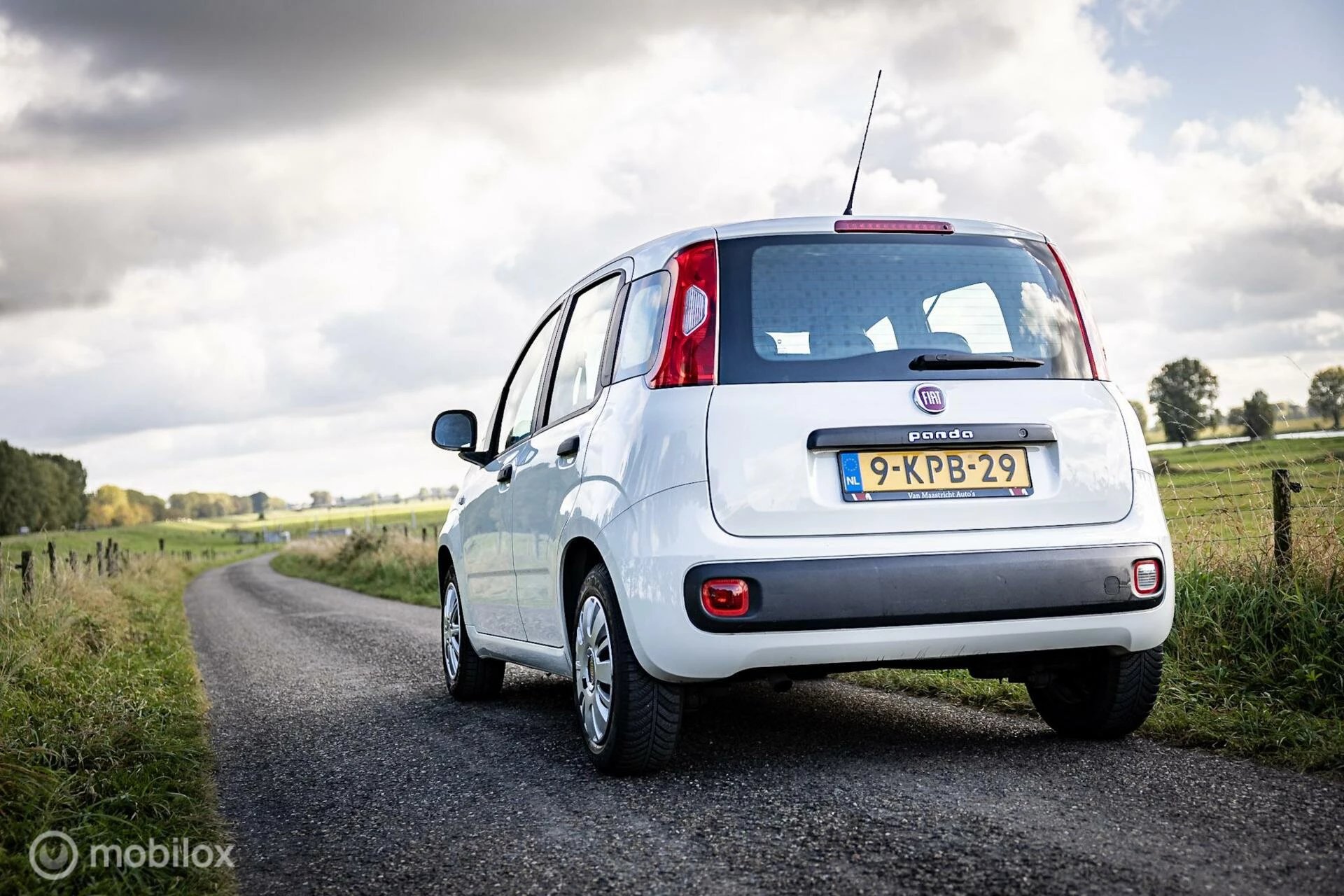 Hoofdafbeelding Fiat Panda