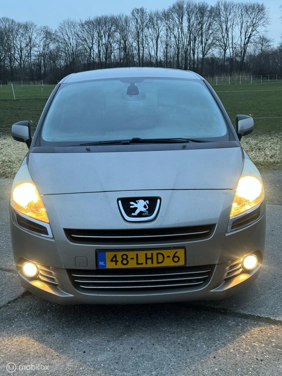 Hoofdafbeelding Peugeot 5008