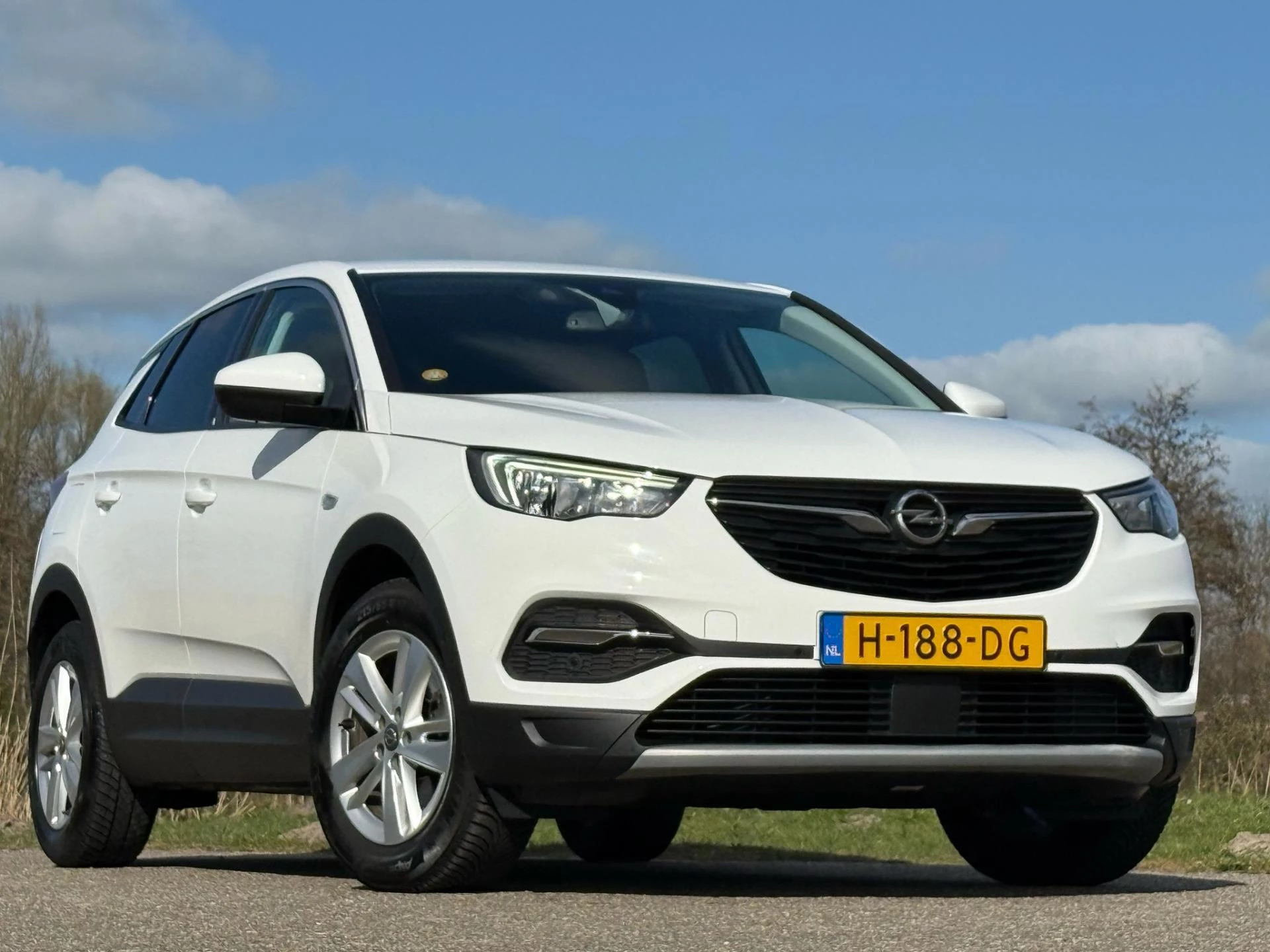 Hoofdafbeelding Opel Grandland X