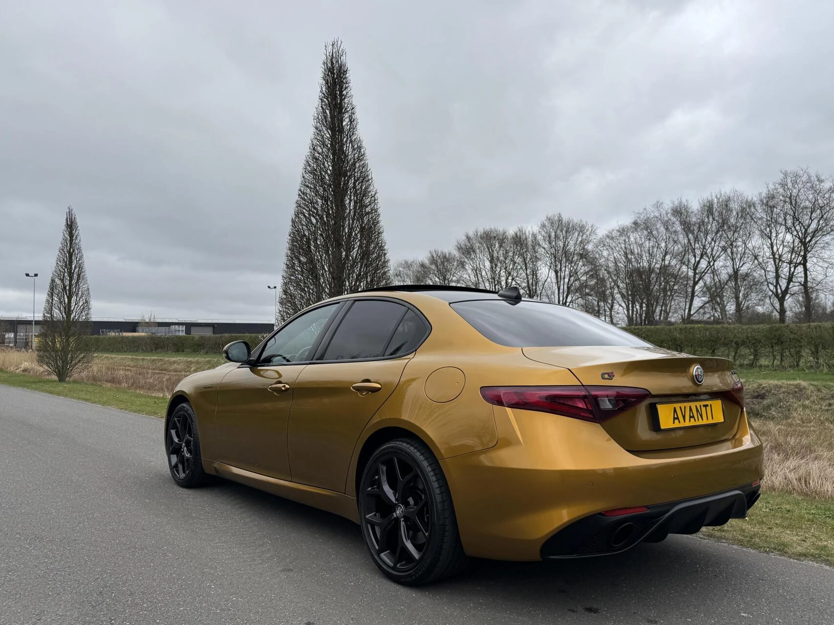 Hoofdafbeelding Alfa Romeo Giulia