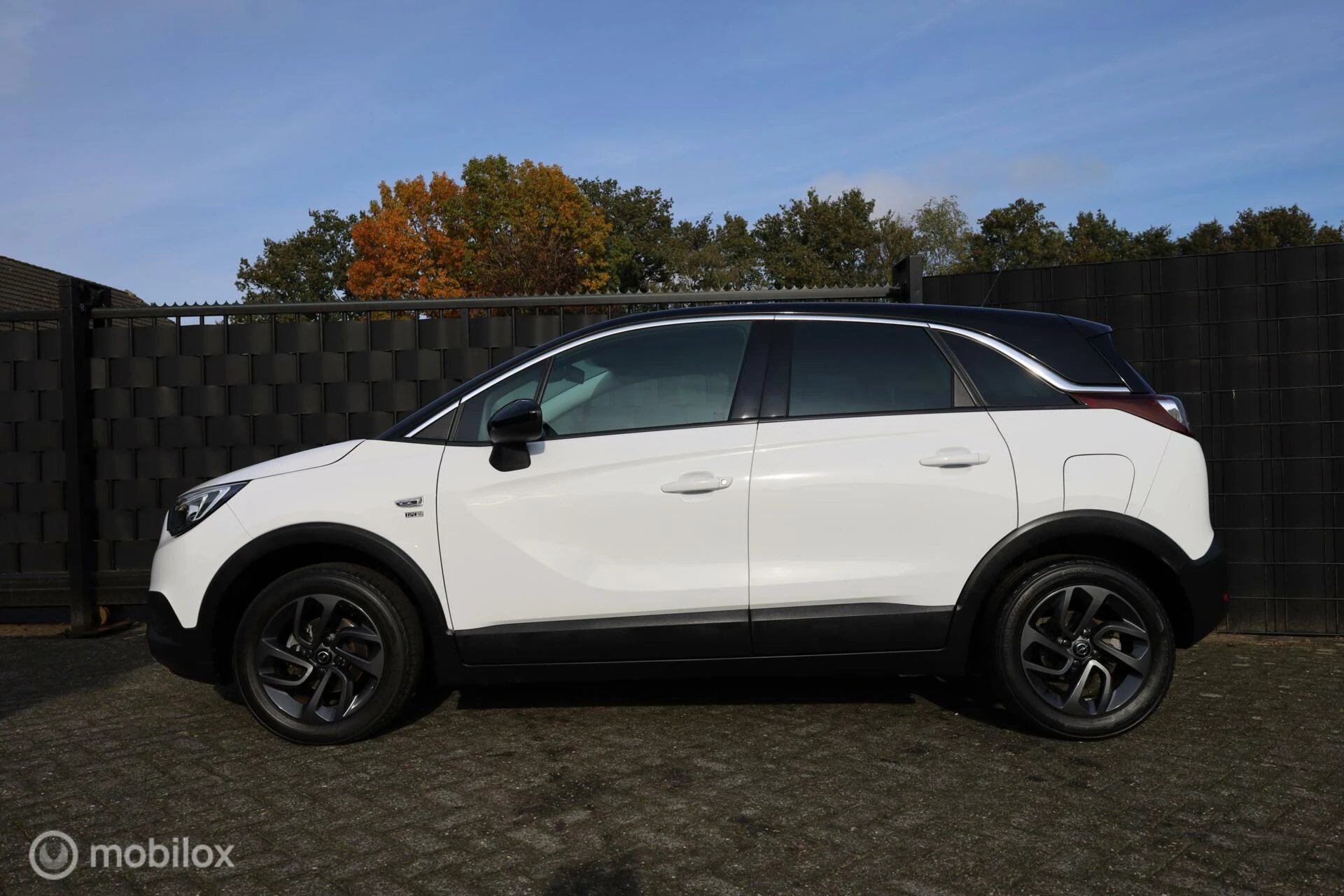 Hoofdafbeelding Opel Crossland X