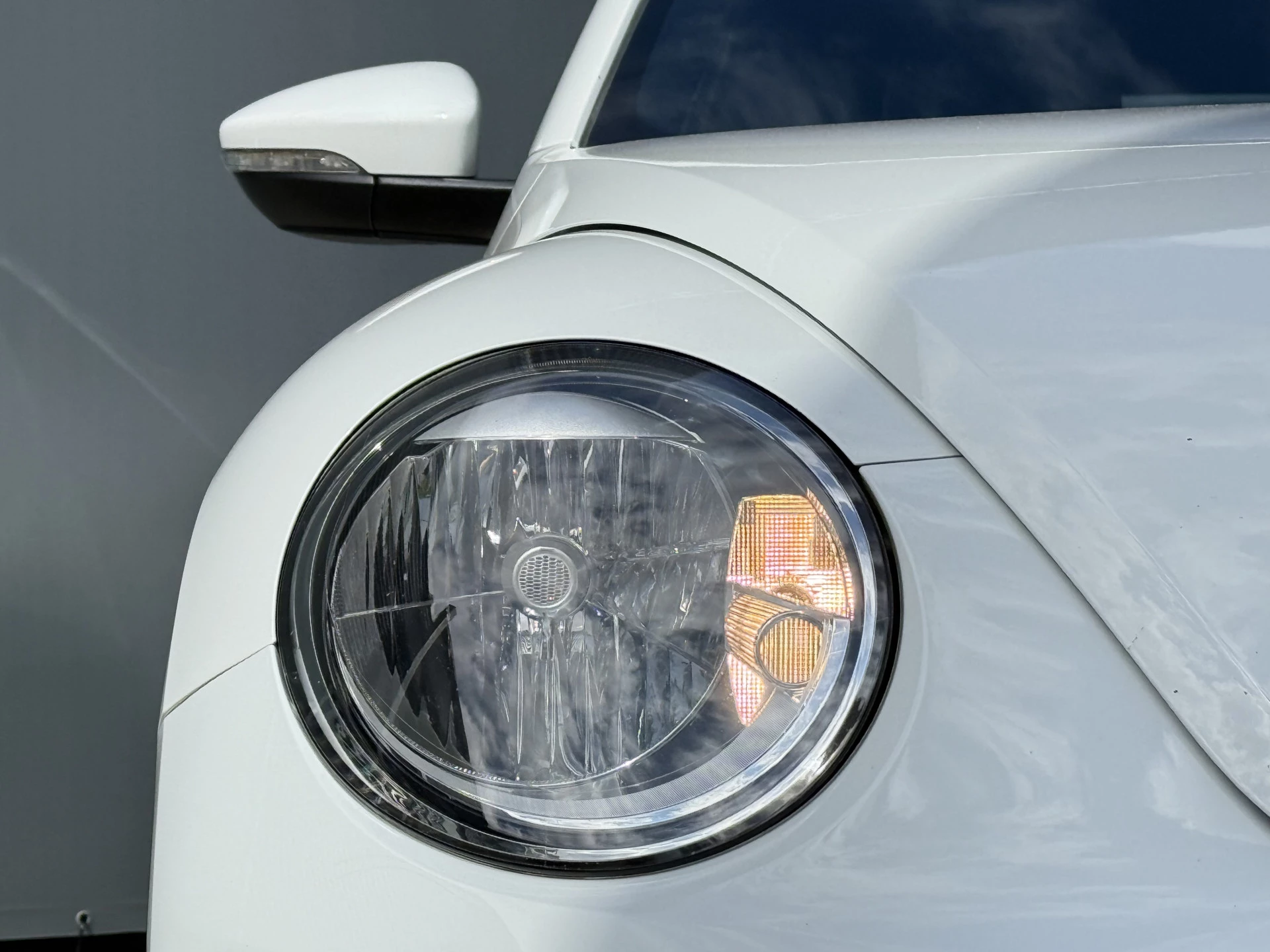 Hoofdafbeelding Volkswagen Beetle