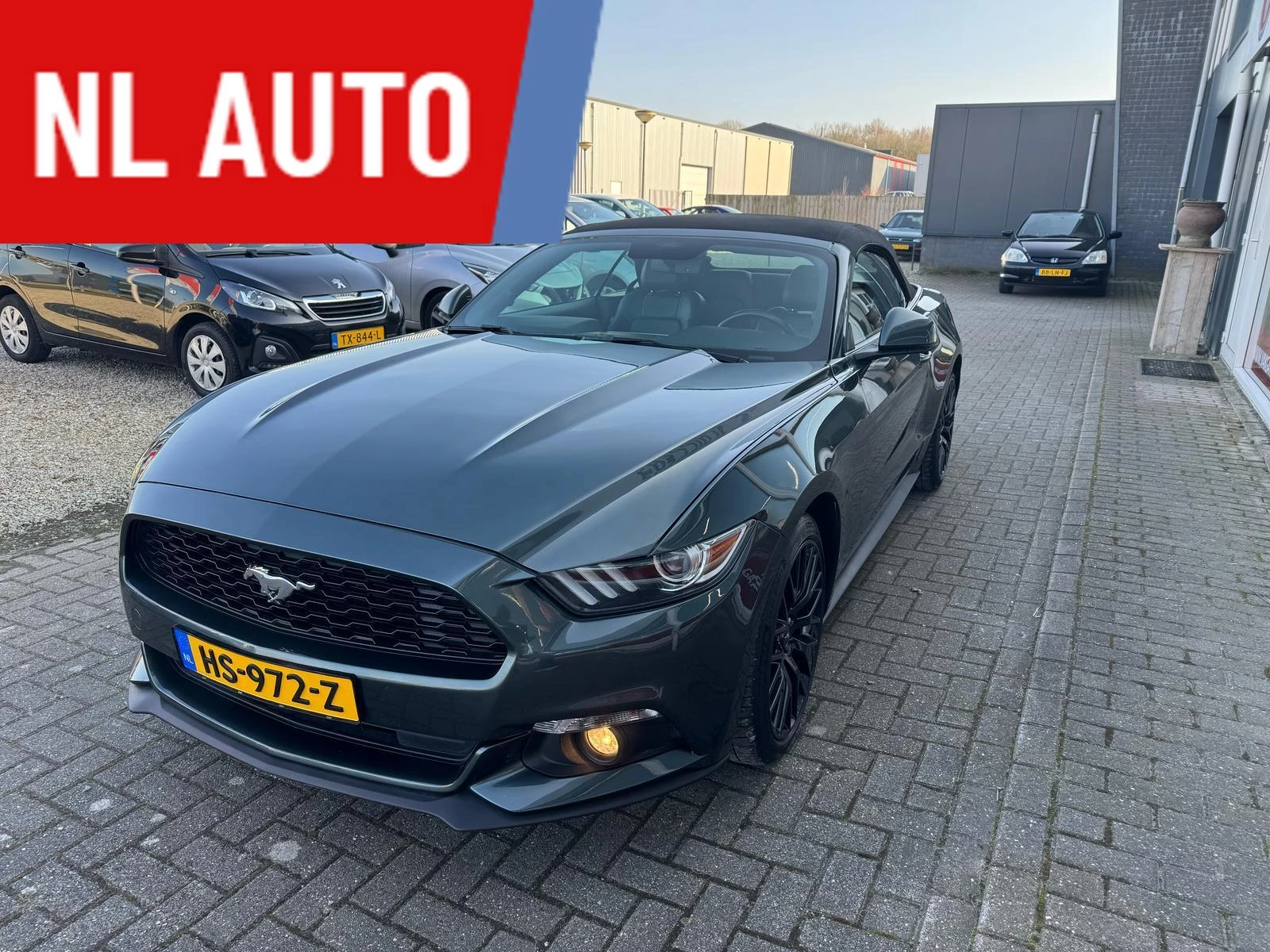 Hoofdafbeelding Ford Mustang