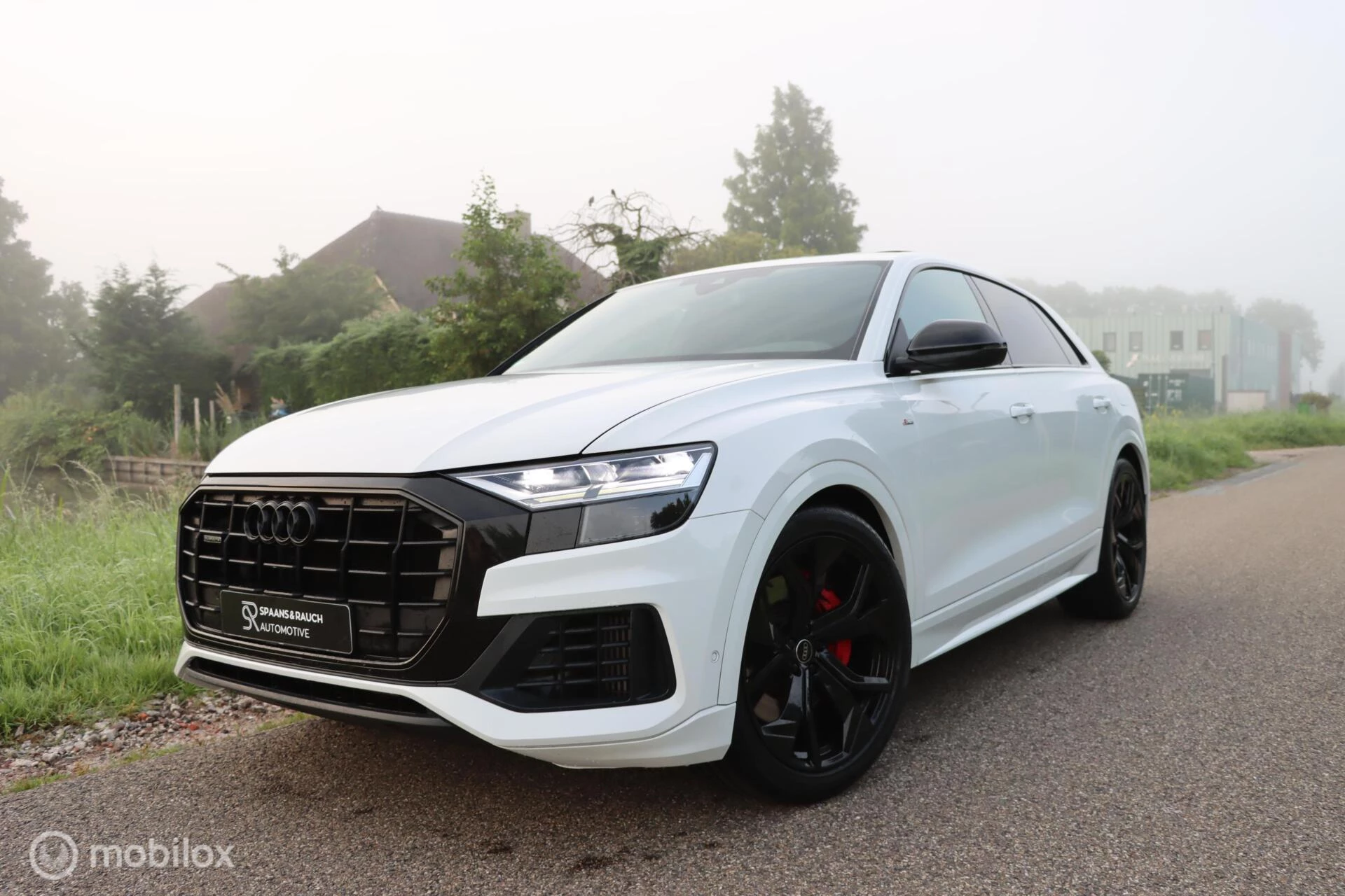 Hoofdafbeelding Audi Q8