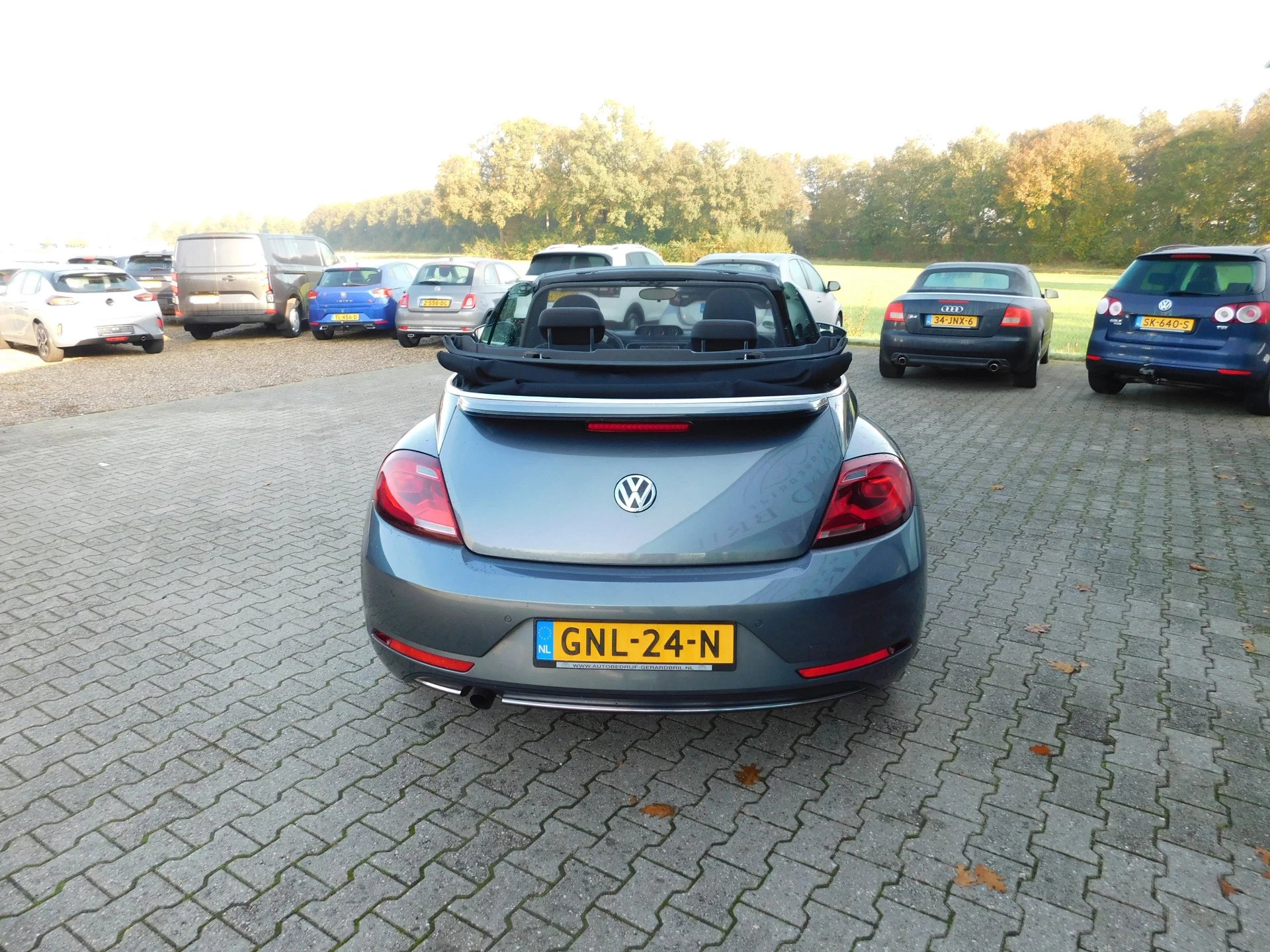 Hoofdafbeelding Volkswagen Beetle