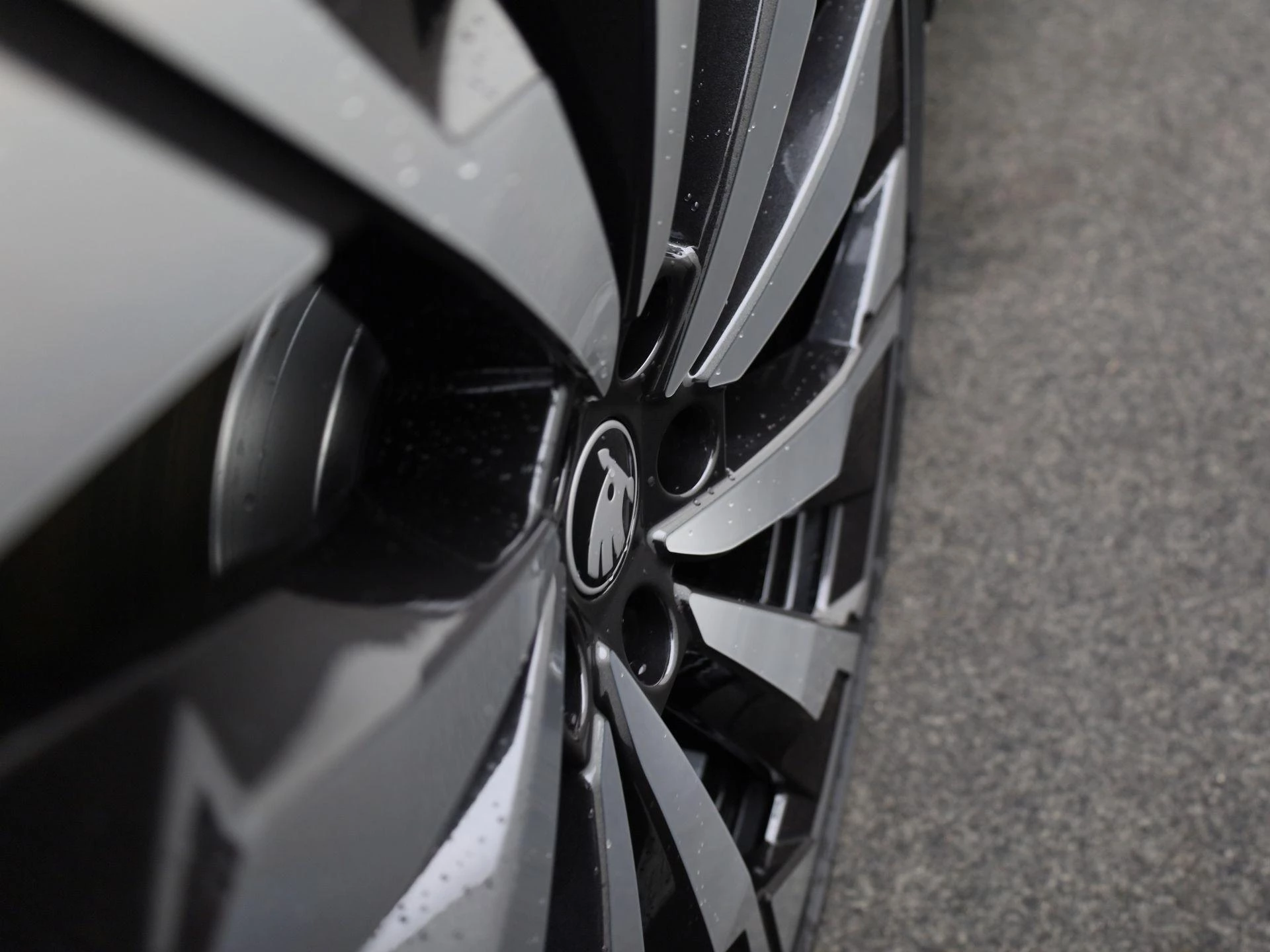 Hoofdafbeelding Škoda Enyaq iV