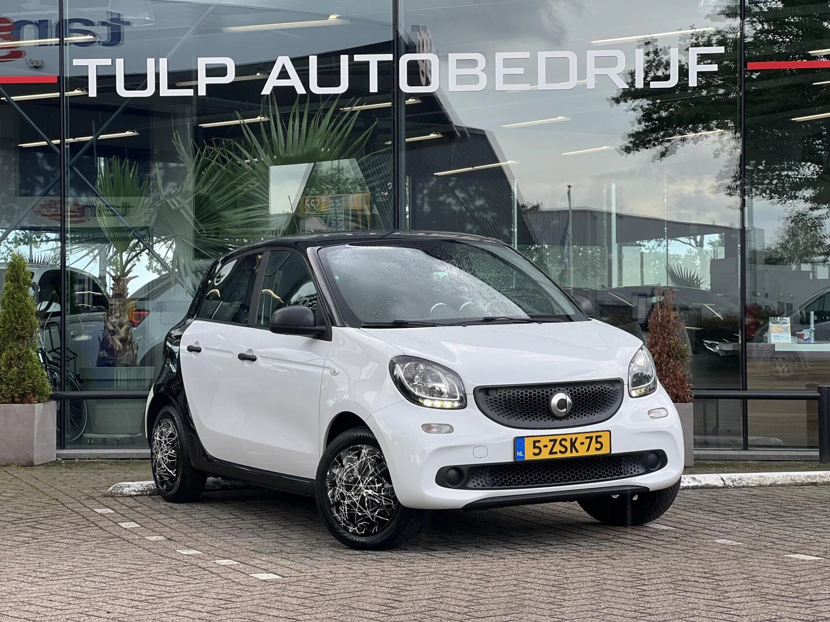 Hoofdafbeelding smart Forfour