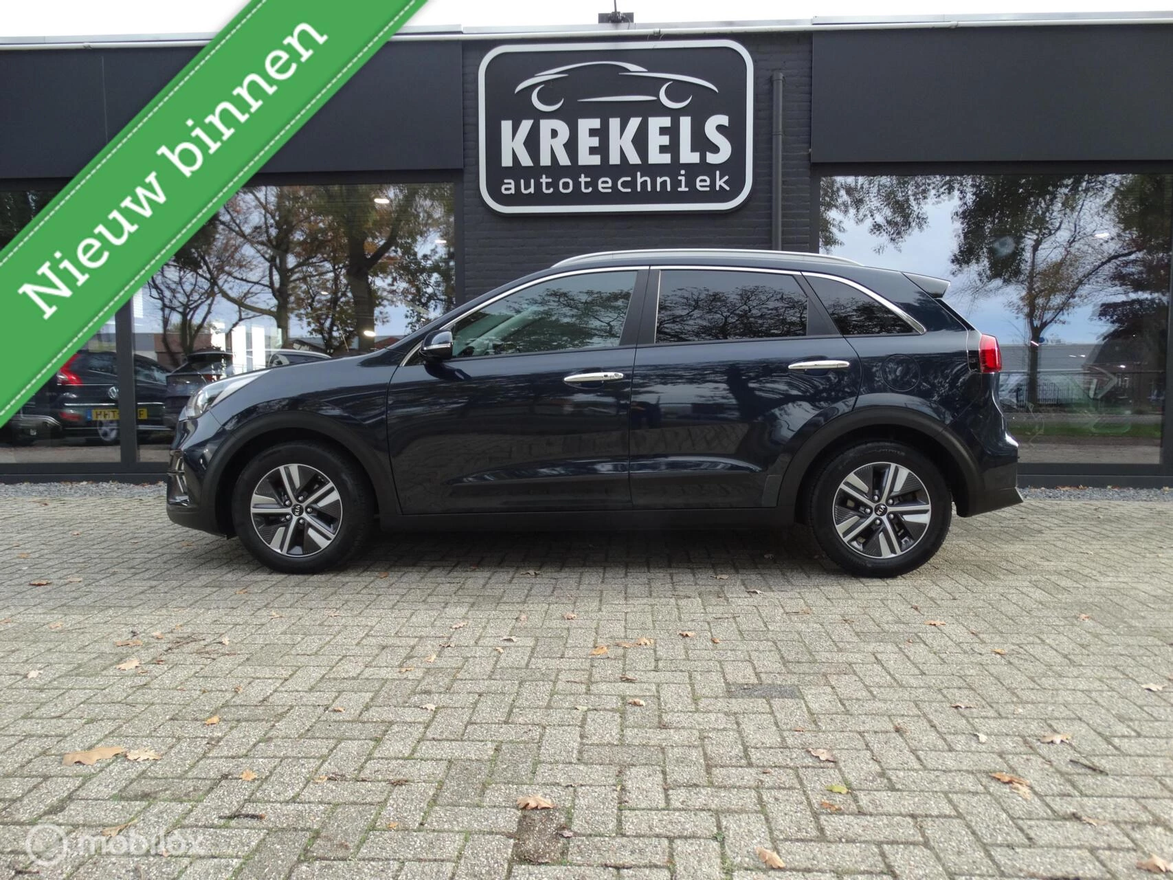 Hoofdafbeelding Kia Niro
