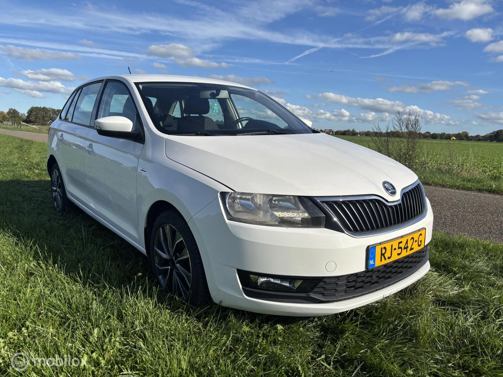Hoofdafbeelding Škoda Rapid