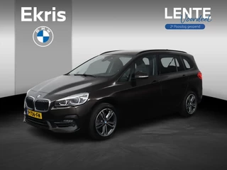 BMW 2-serie Gran Tourer 216i Executive | Cruise Control | Verwarmde voorstoelen | Park Distance Control voor/achter | Sportstoelen voor | Lentevoordeel