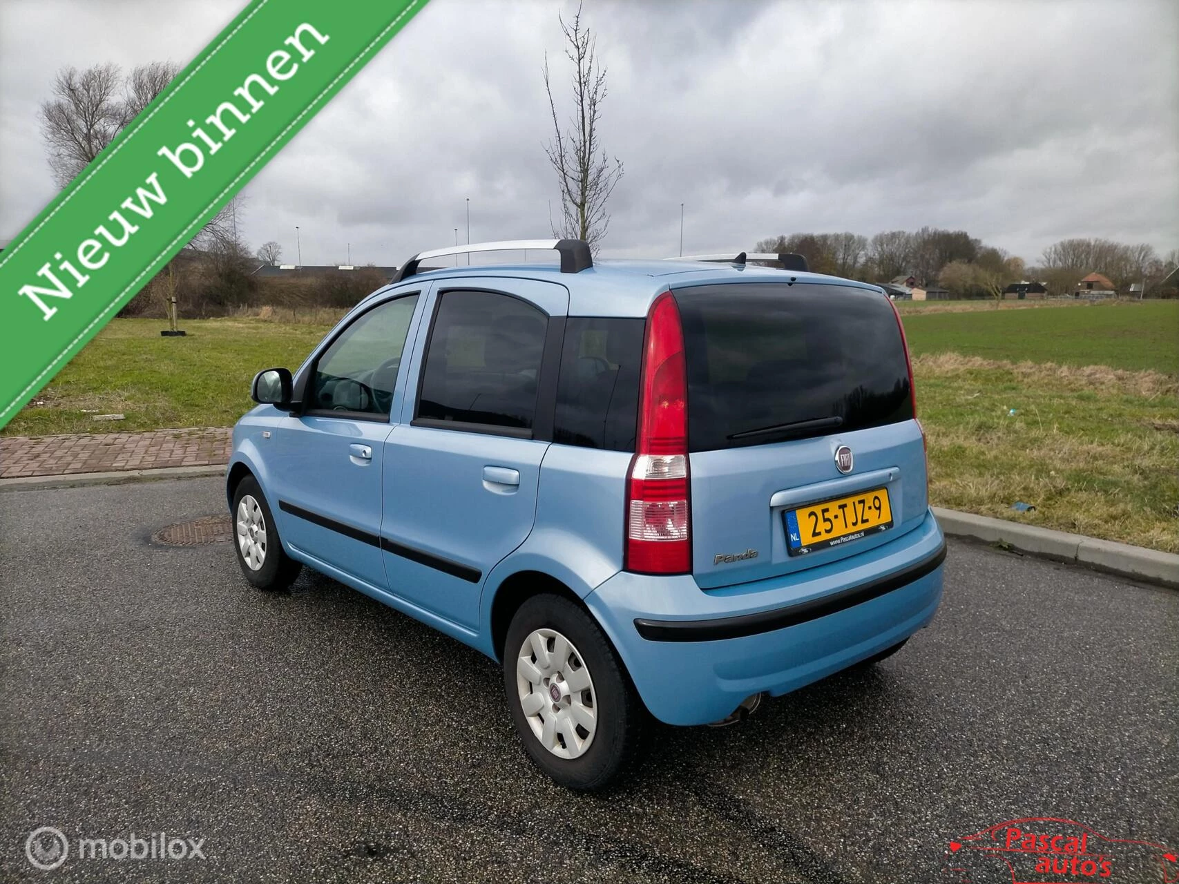 Hoofdafbeelding Fiat Panda