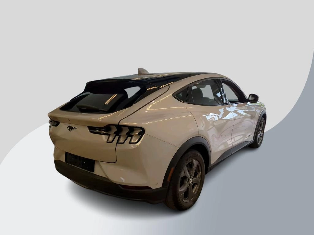 Hoofdafbeelding Ford Mustang Mach-E