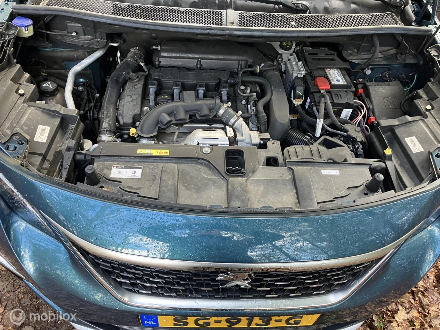 Hoofdafbeelding Peugeot 5008