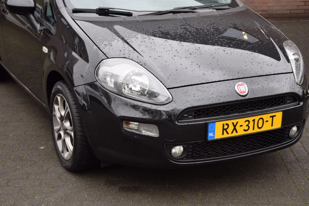 Hoofdafbeelding Fiat Punto