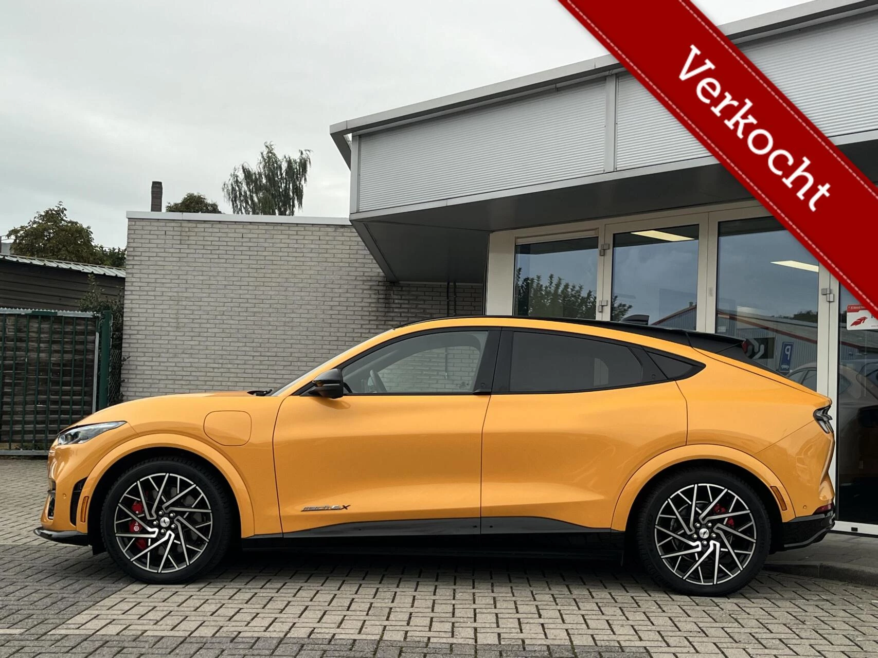 Hoofdafbeelding Ford Mustang Mach-E