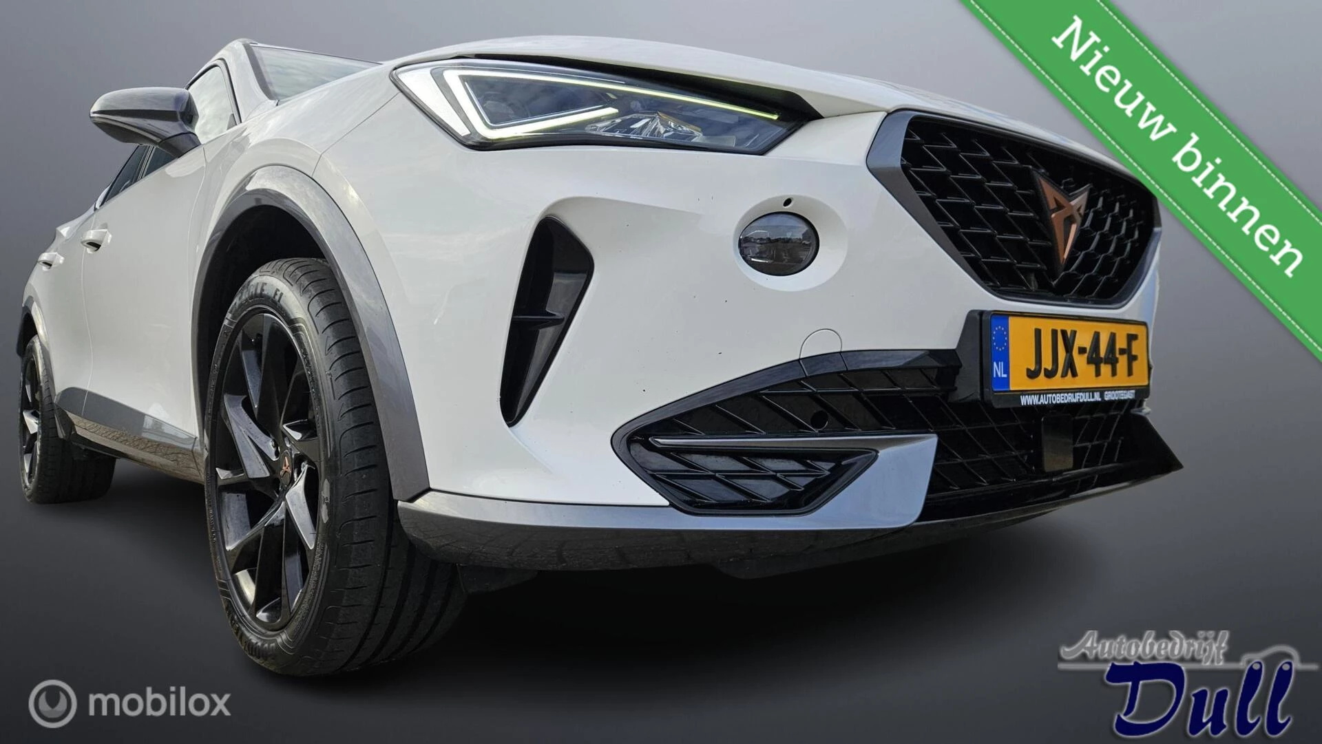 Hoofdafbeelding CUPRA Formentor