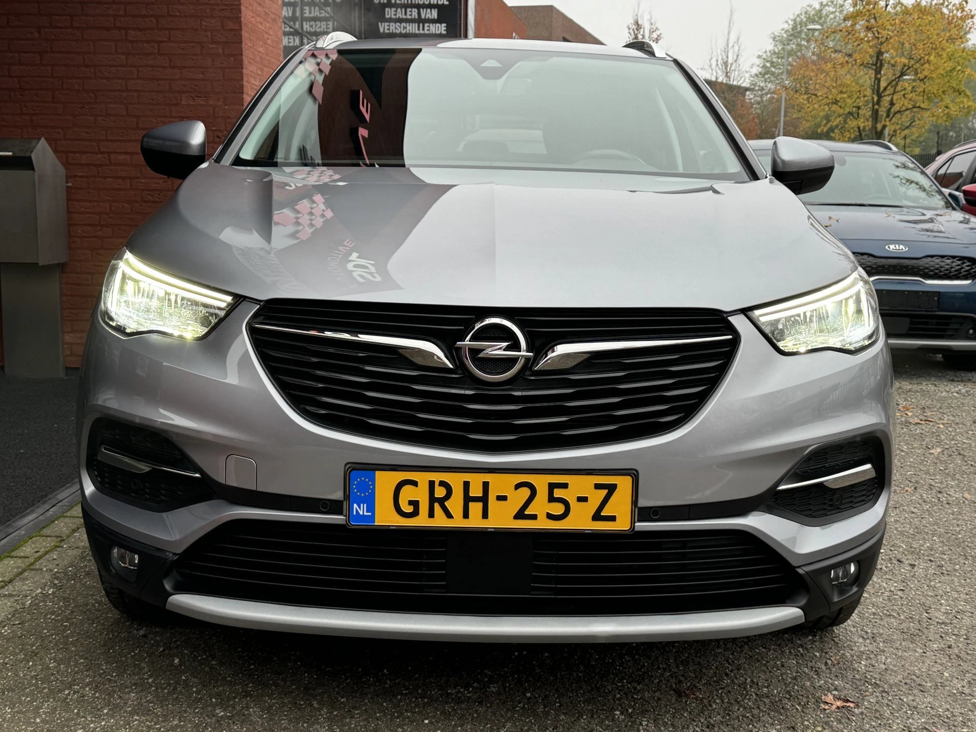 Hoofdafbeelding Opel Grandland X