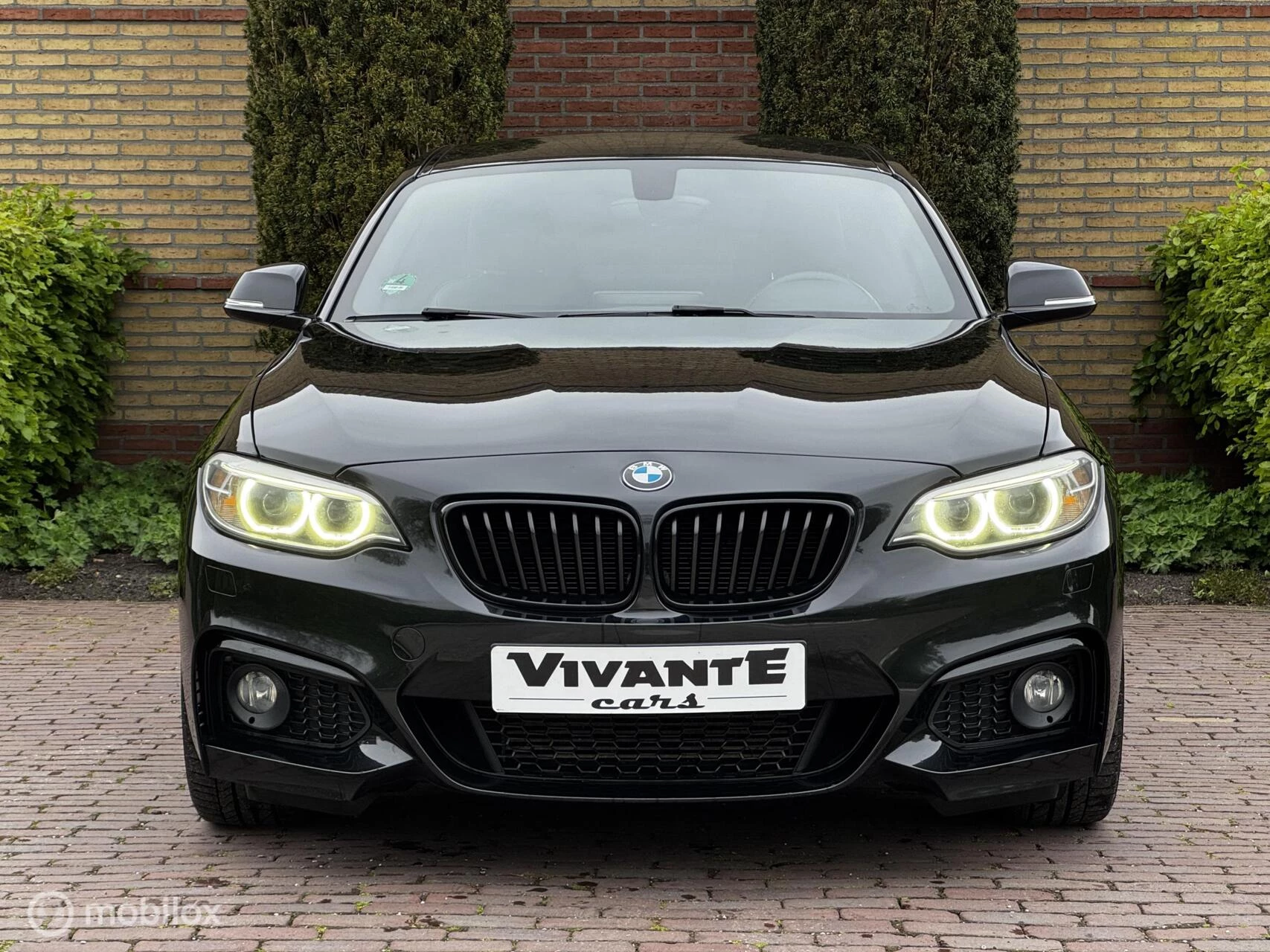 Hoofdafbeelding BMW 2 Serie